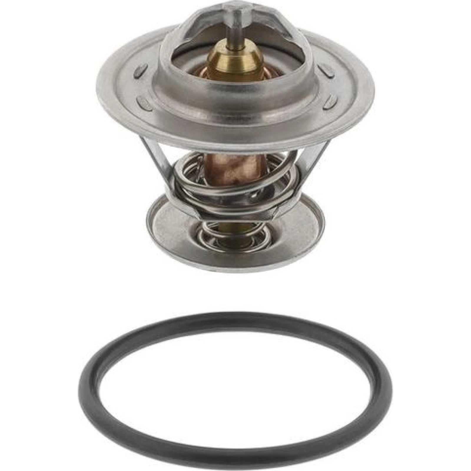 Thermostat, Kühlmittel 100 573