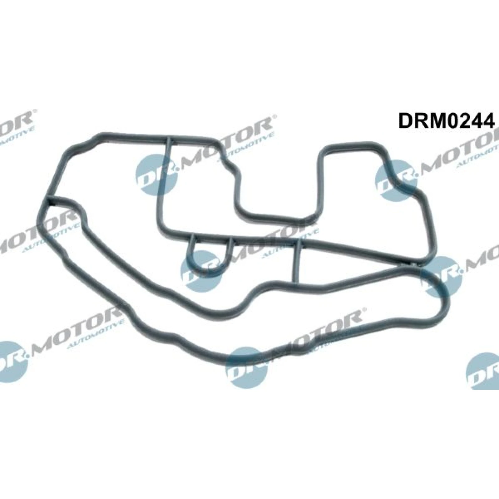 DRM0244 Dichtung, Thermostatgehäuse