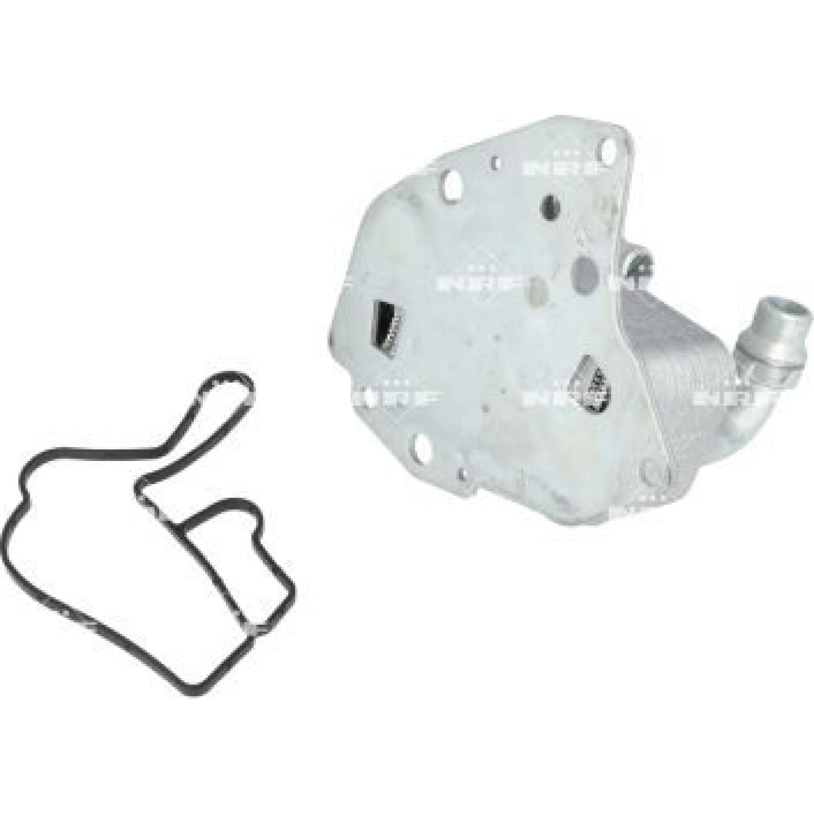 Ölkühler, Motor“L 31343