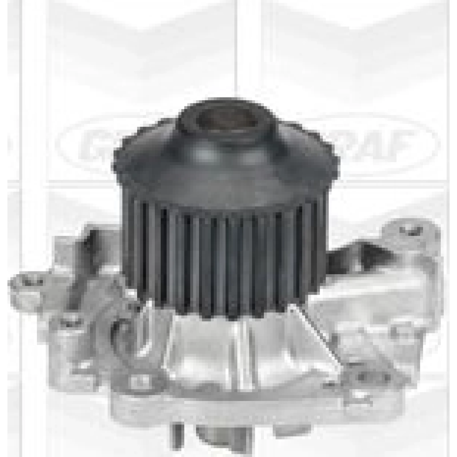 PA 732 Wasserpumpe PA732