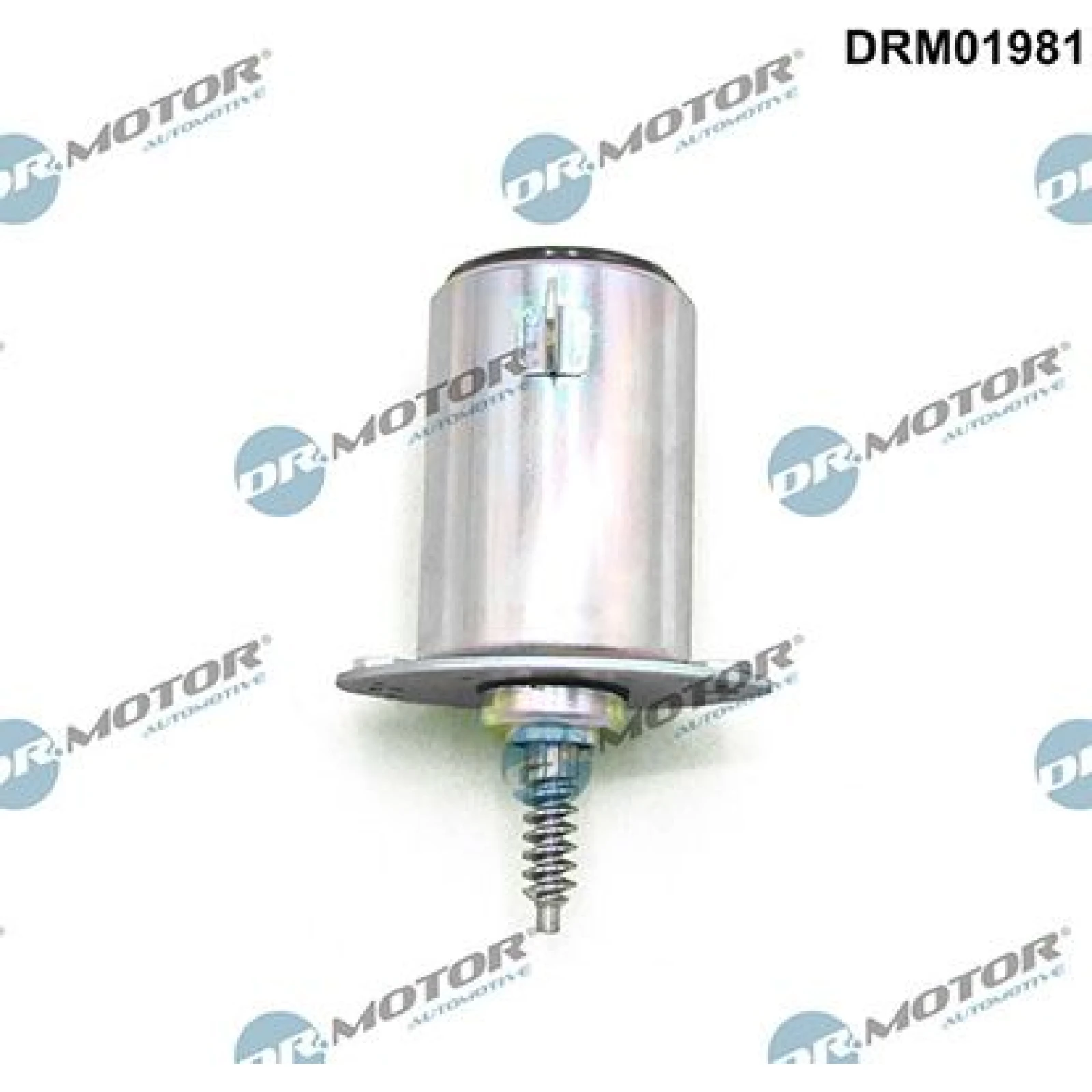 STEUERVENTIL, NOCKENWELLENVERSTELLUNG DRM01981