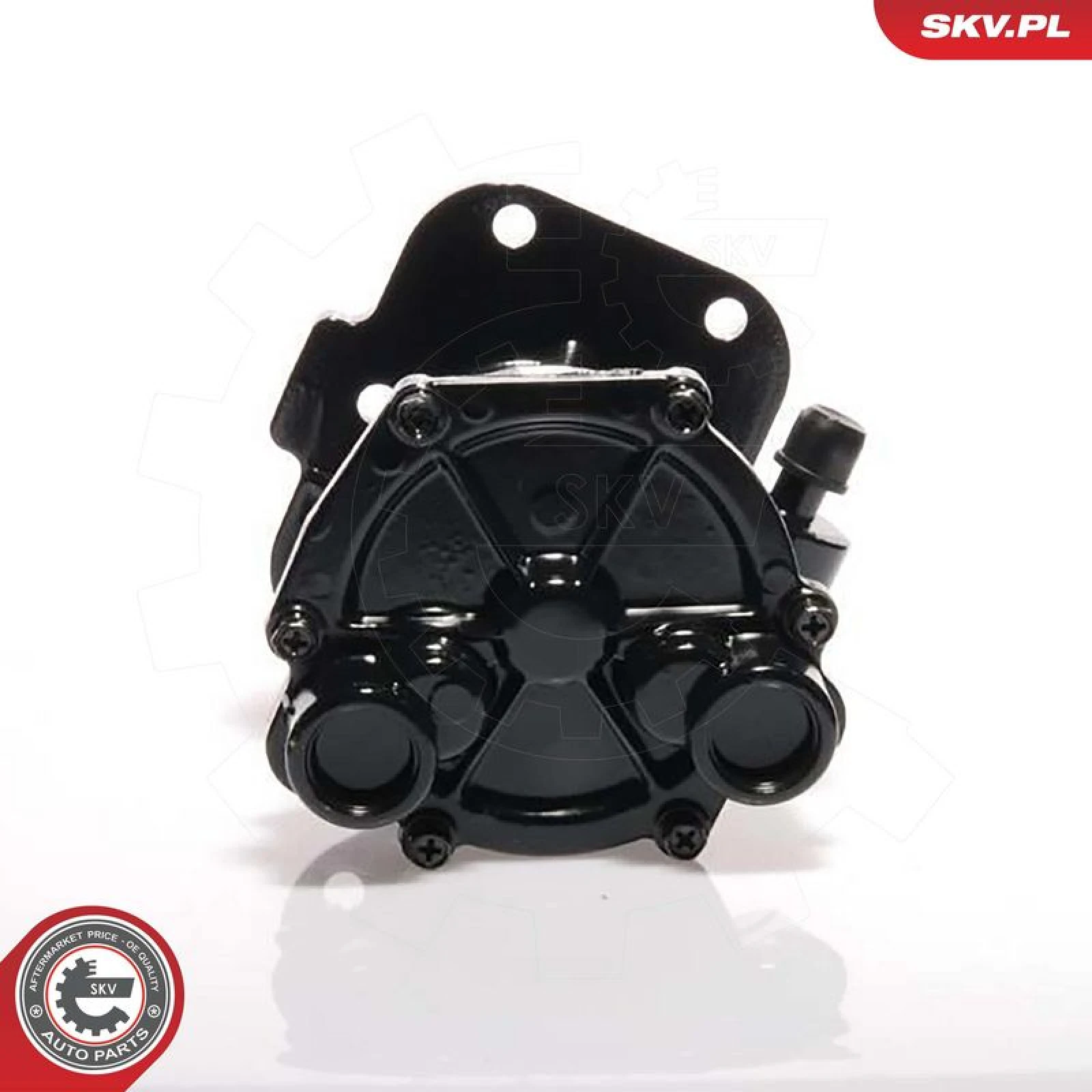 SKV GERMANY Vakuumpumpe 18SKV011