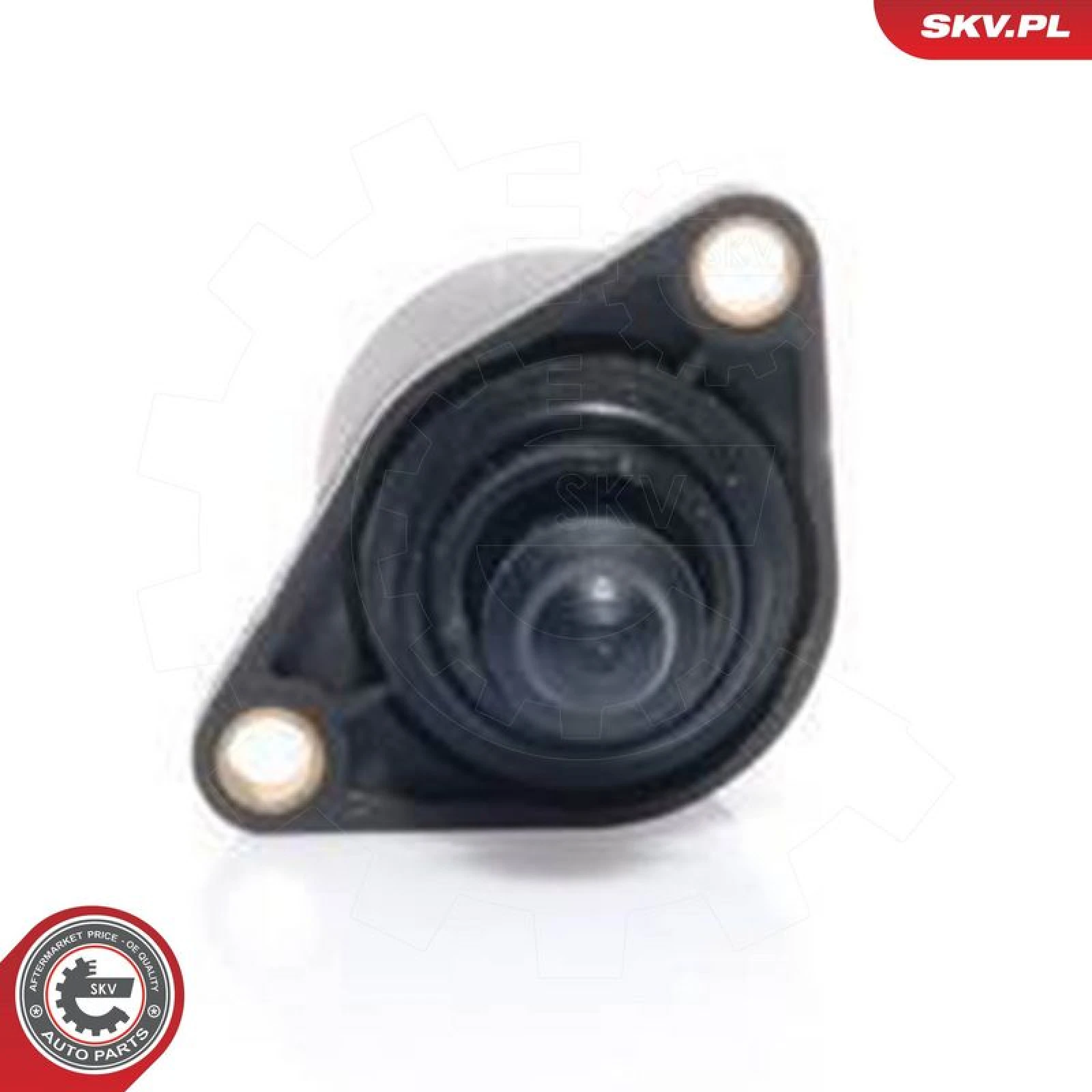 SKV GERMANY Ventil 08SKV022