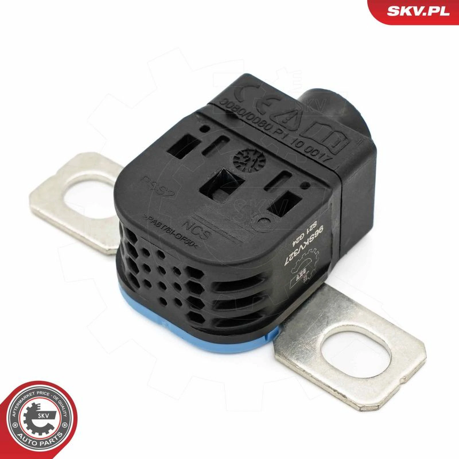 ESEN SKV Sensor, Batteriemanagement 96SKV327