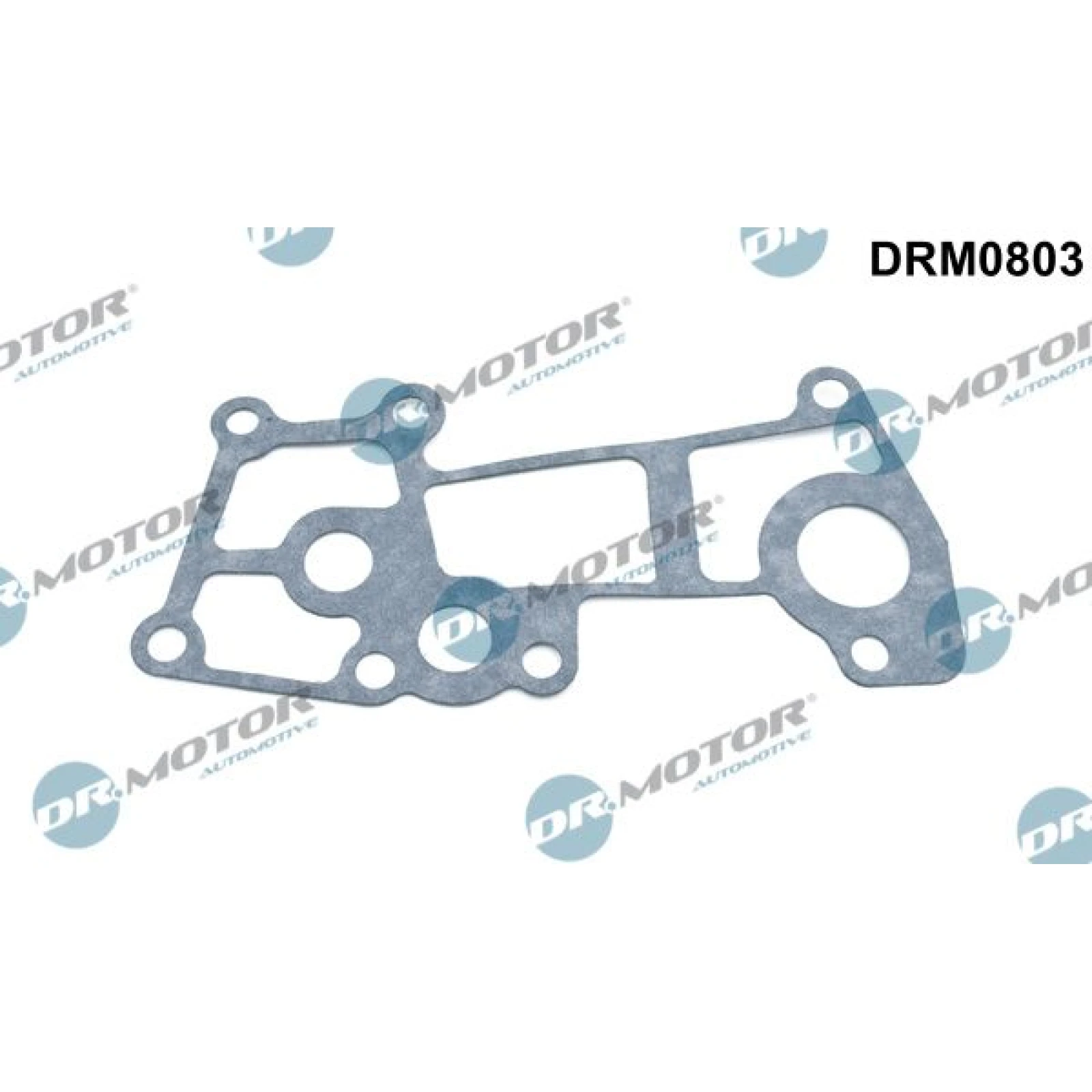 Dichtung, Kühlmittelflansch DRM0803
