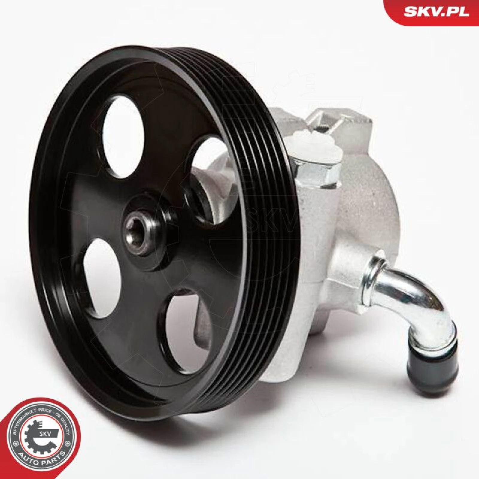 SKV GERMANY Hydraulikpumpe 10SKV002