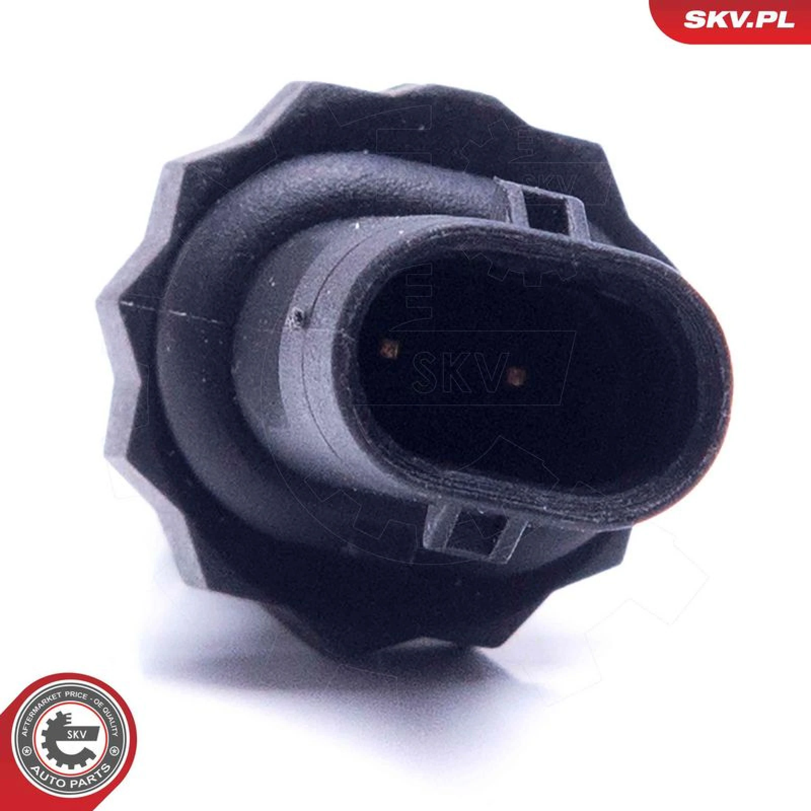 ESEN SKV Sensor, Kühlmitteltemperatur 17SKV673