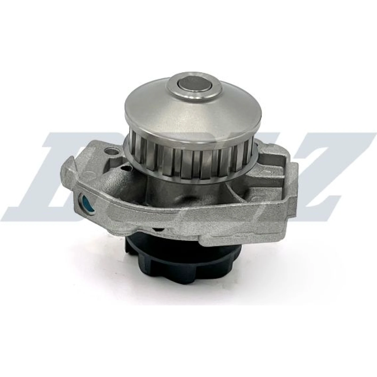 DOLZ Wasserpumpe S161