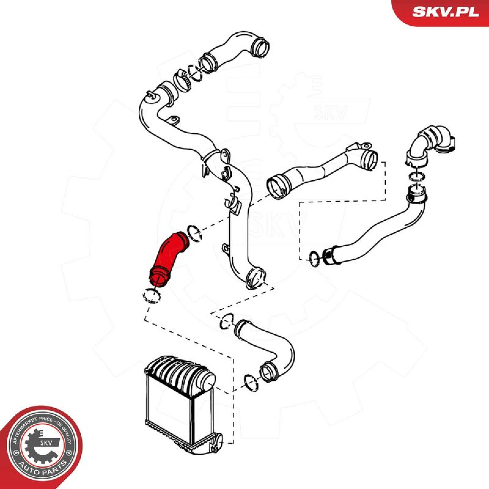 SKV GERMANY Luftschlauch 24SKV041