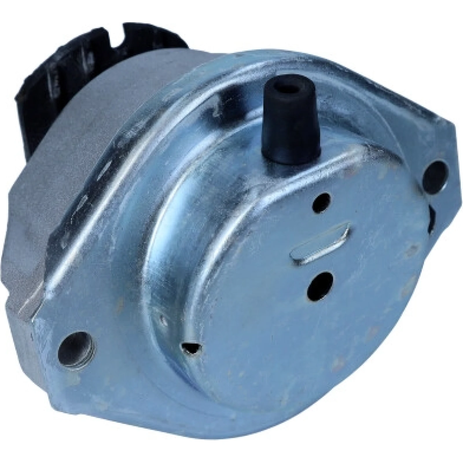 Lagerung, Motor 80004416