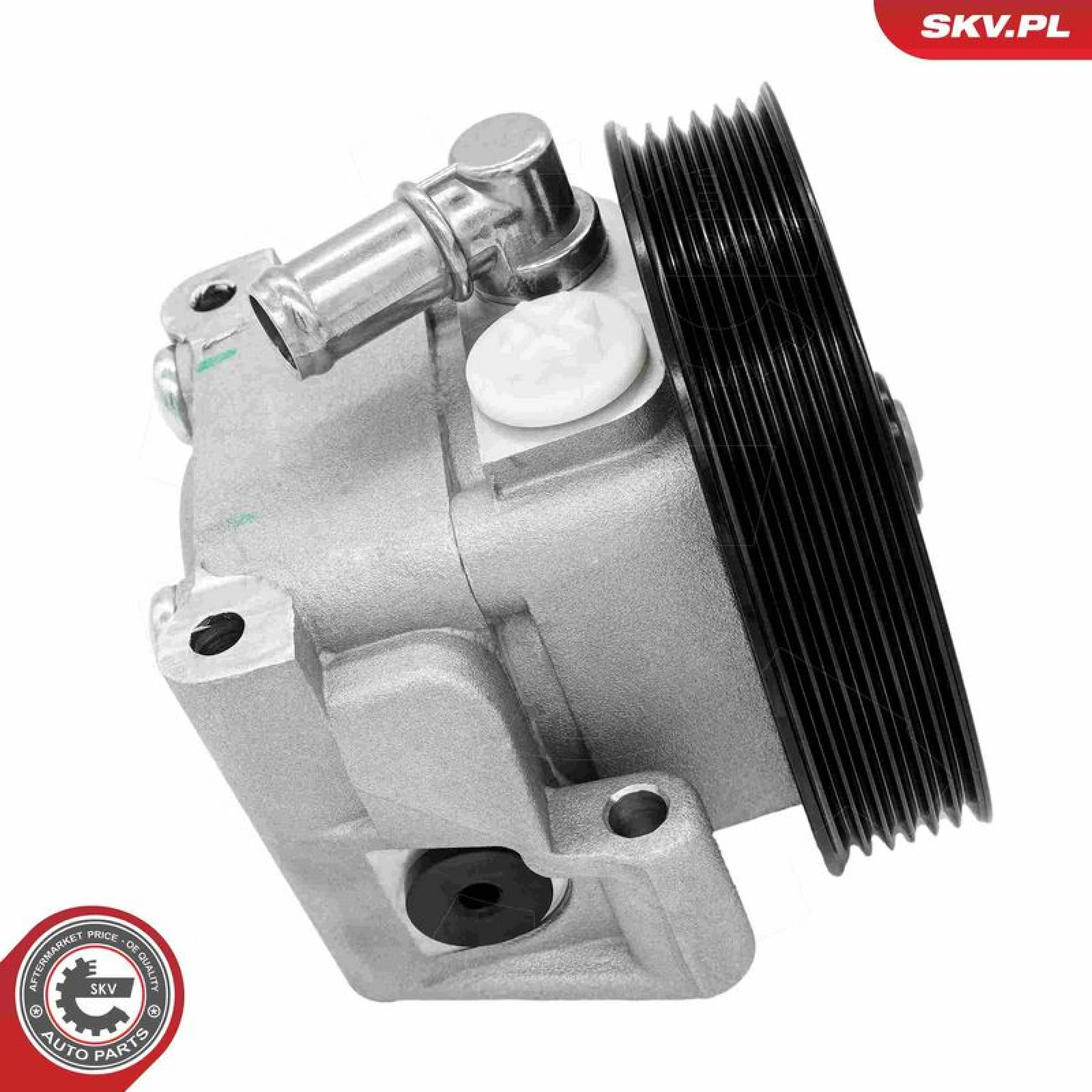 SKV GERMANY Hydraulikpumpe 10SKV219