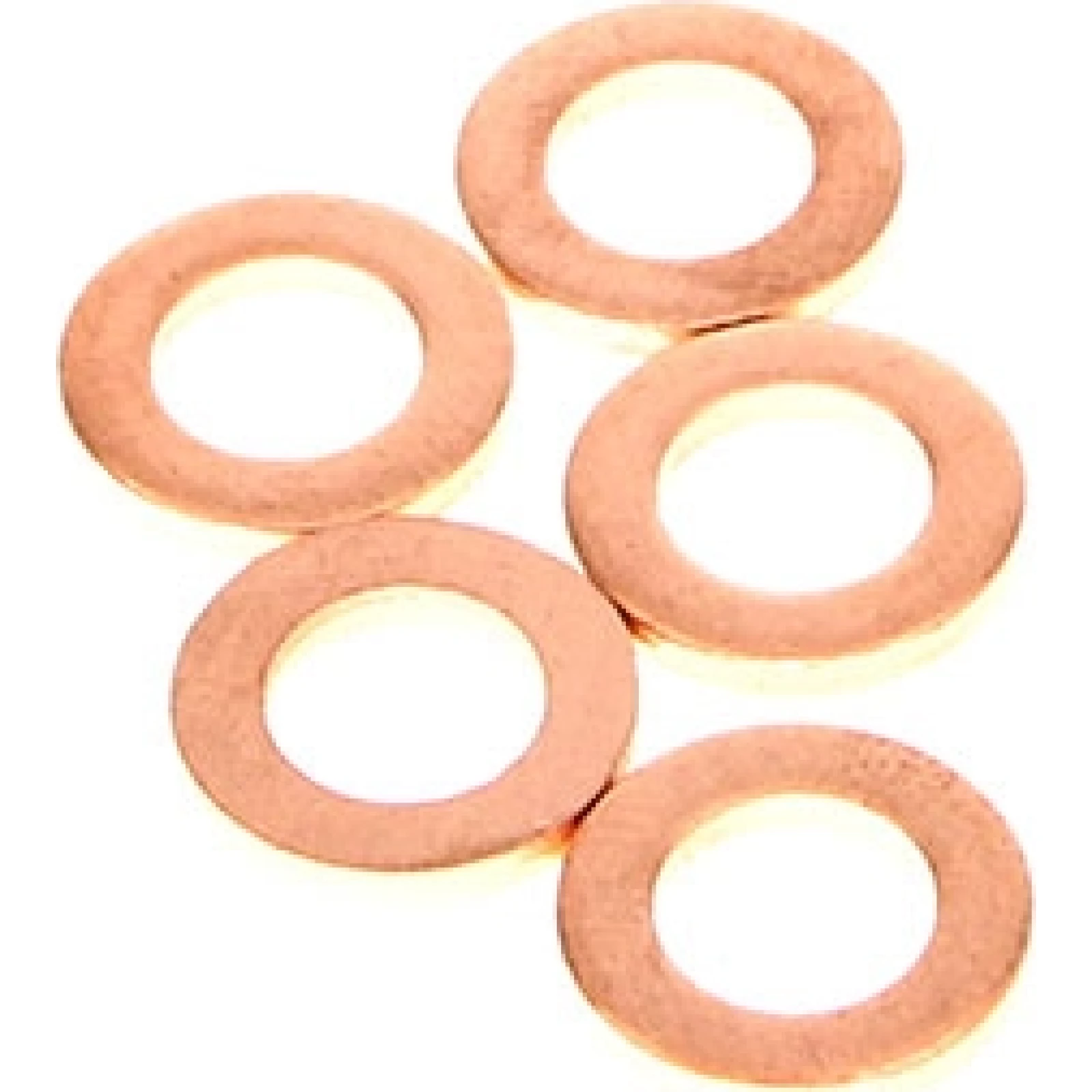 Delphi Dichtring 9001-850R - Einspritzventil