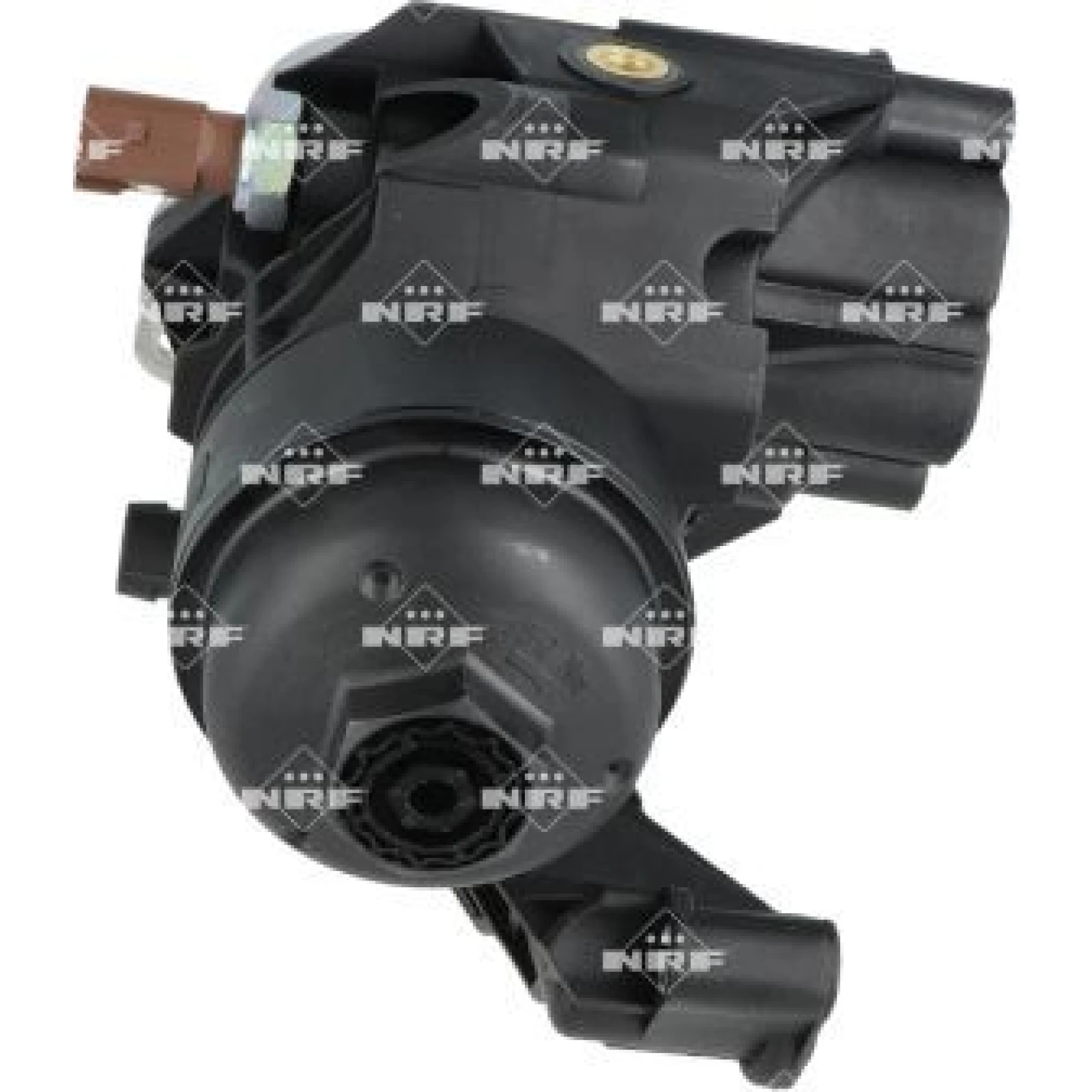 Ölkühler, Motor“L 31356