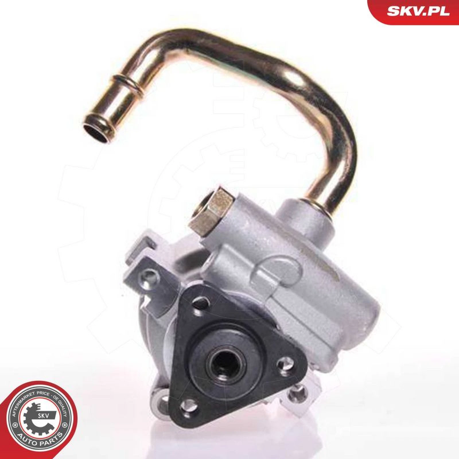 SKV GERMANY Hydraulikpumpe 10SKV149