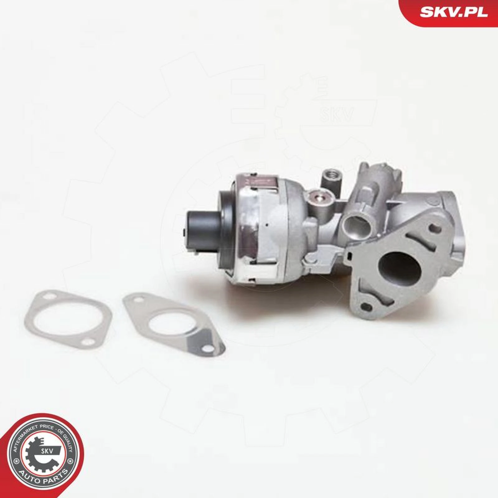 SKV GERMANY AGR-Ventil 14SKV038