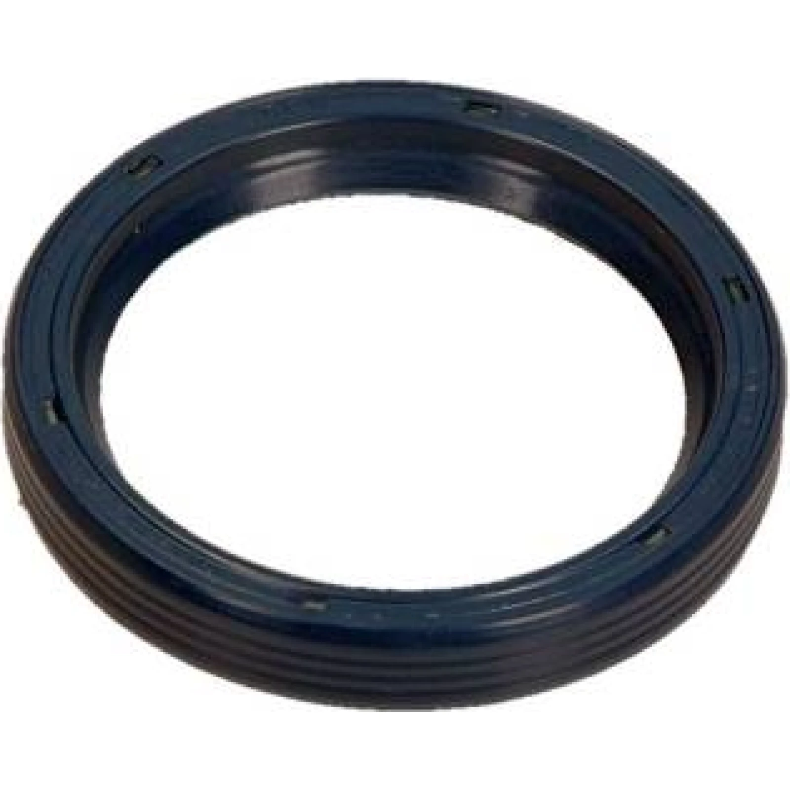 Dichtring 12010903B