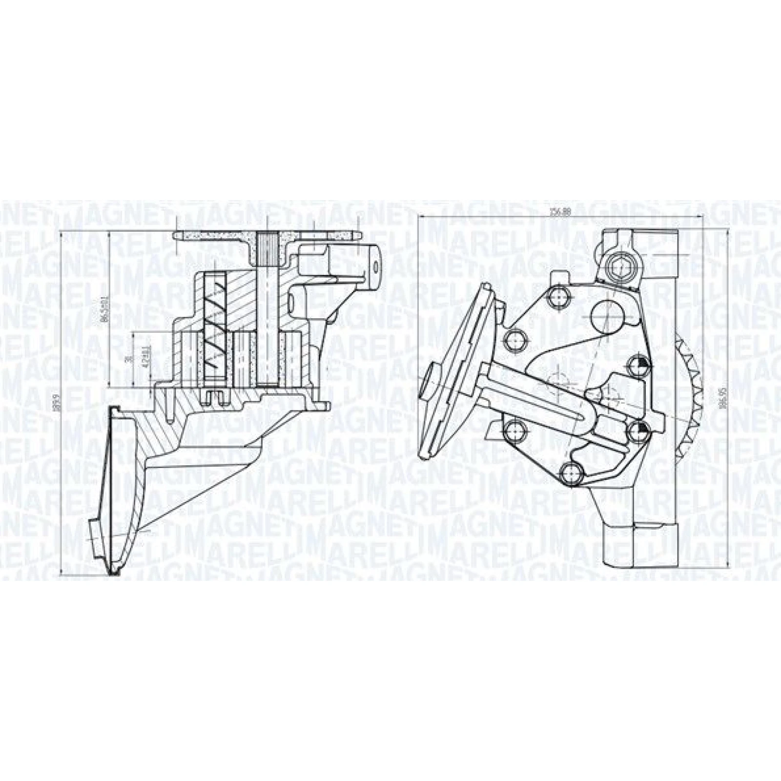 MAGNETI MARELLI Ölpumpe 351516000101