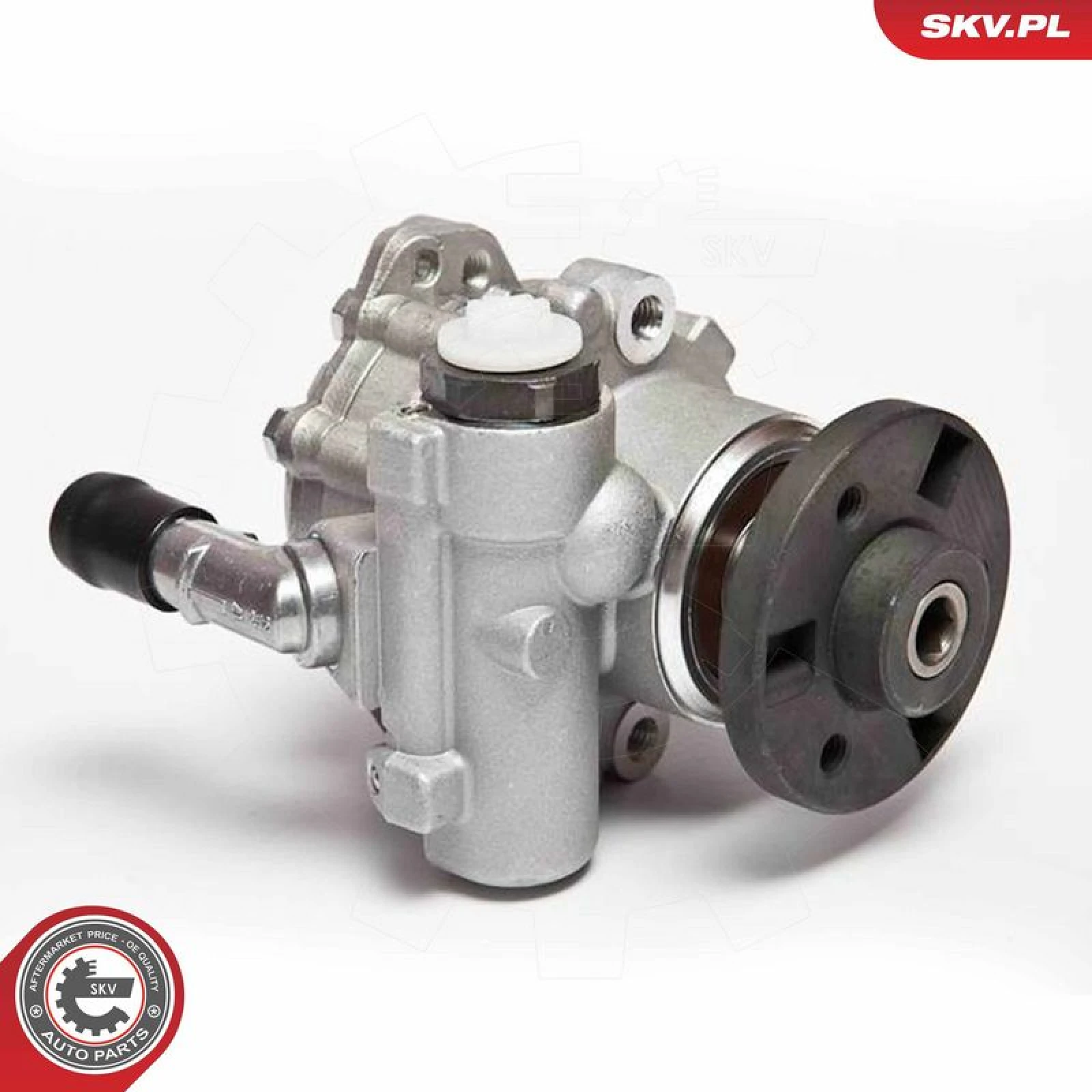 SKV GERMANY Hydraulikpumpe 10SKV123