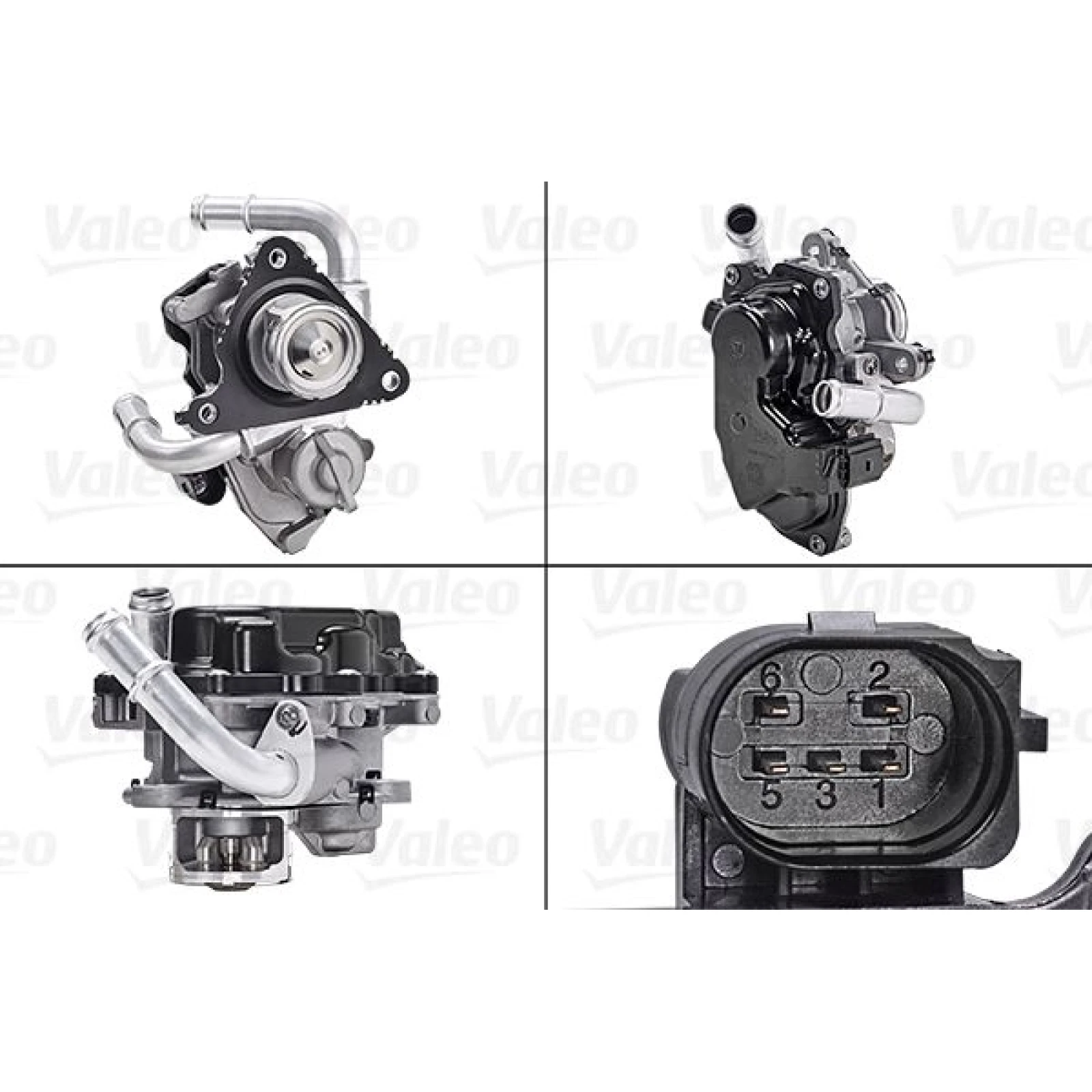 AGR-Ventil 700454