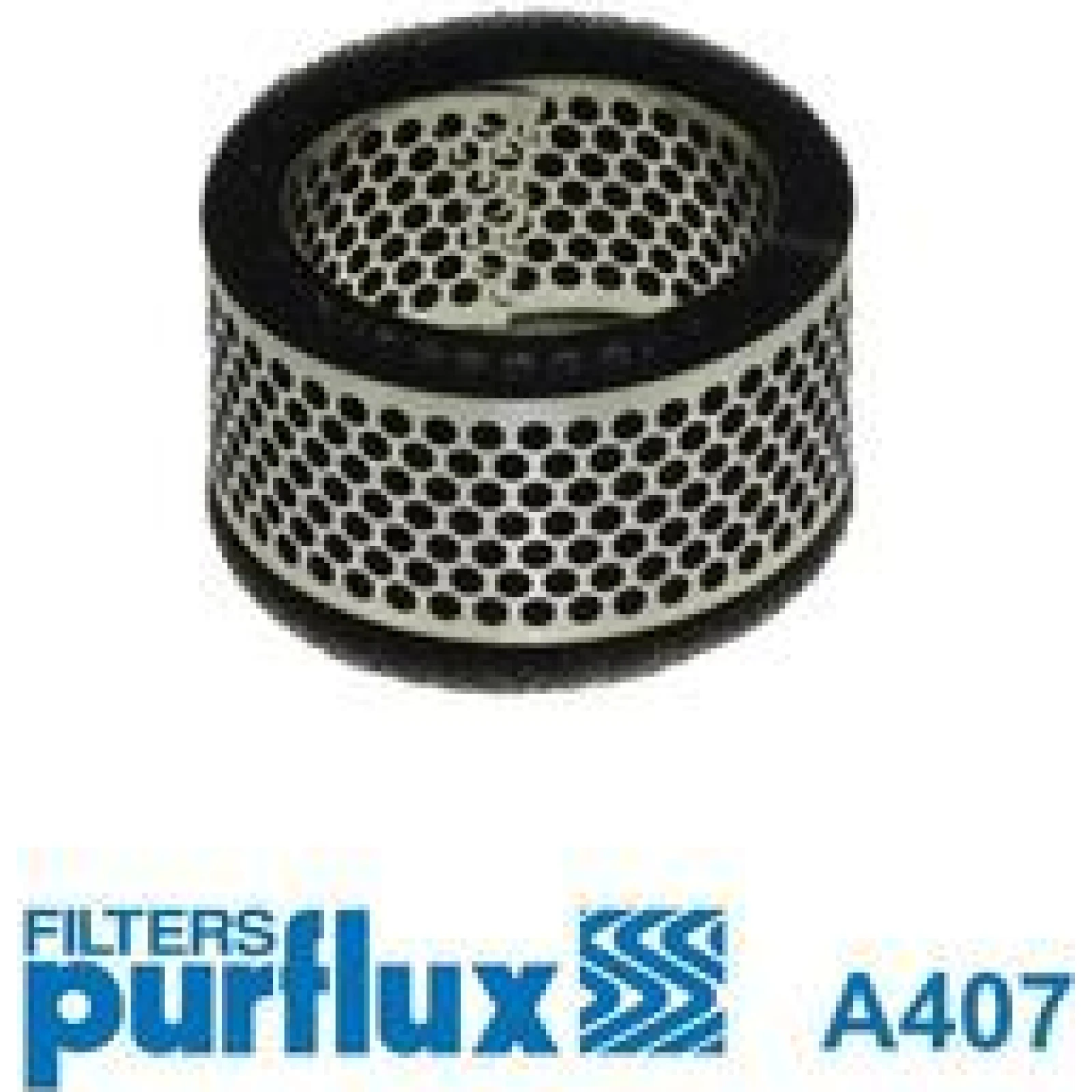 PURFLUX Luftfilter A407