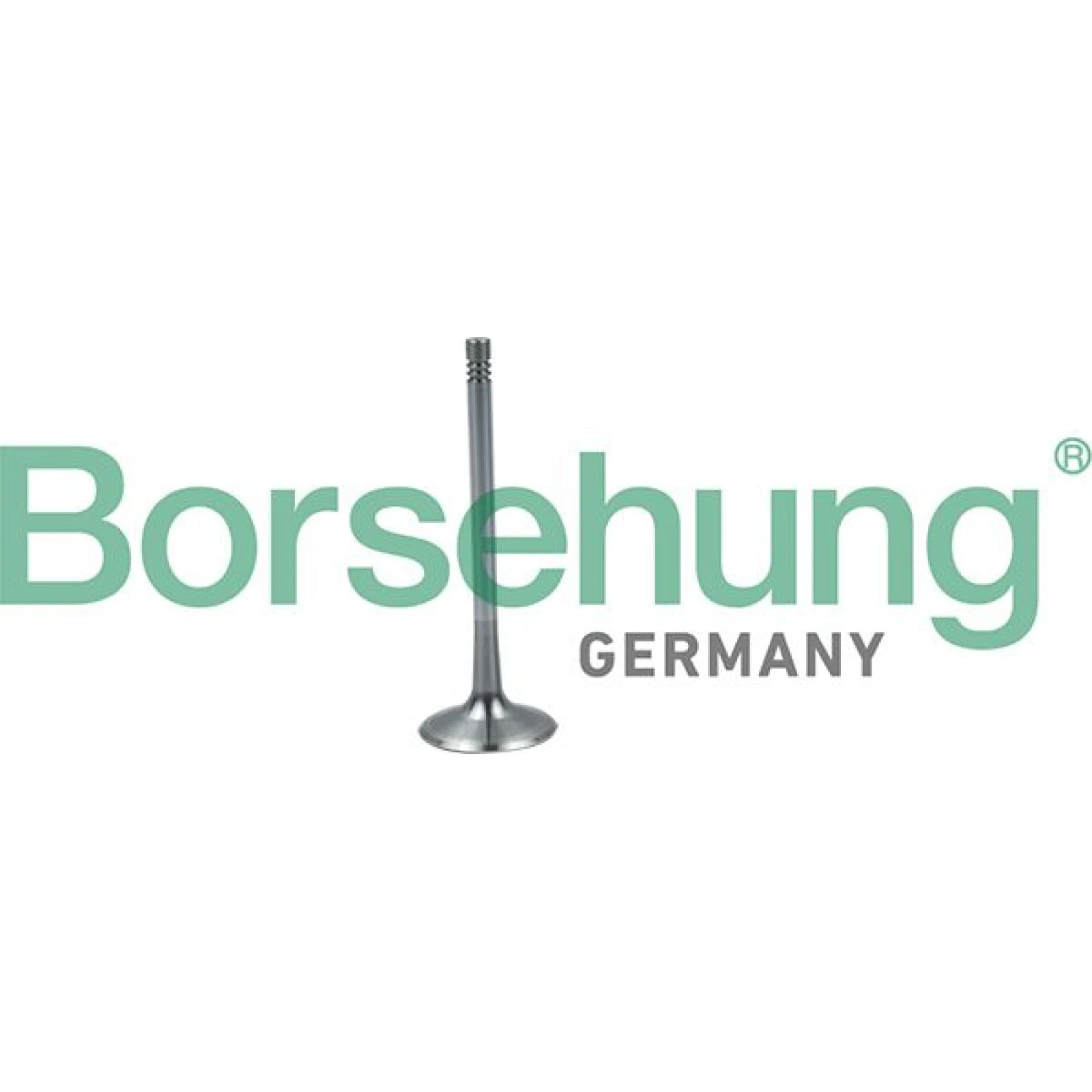 BORSEHUNG Einlaßventil B19026