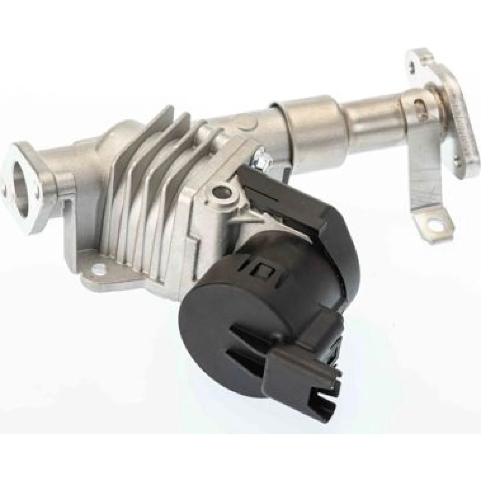 BorgWarner (Wahler) AGR-Ventil 7574D/1