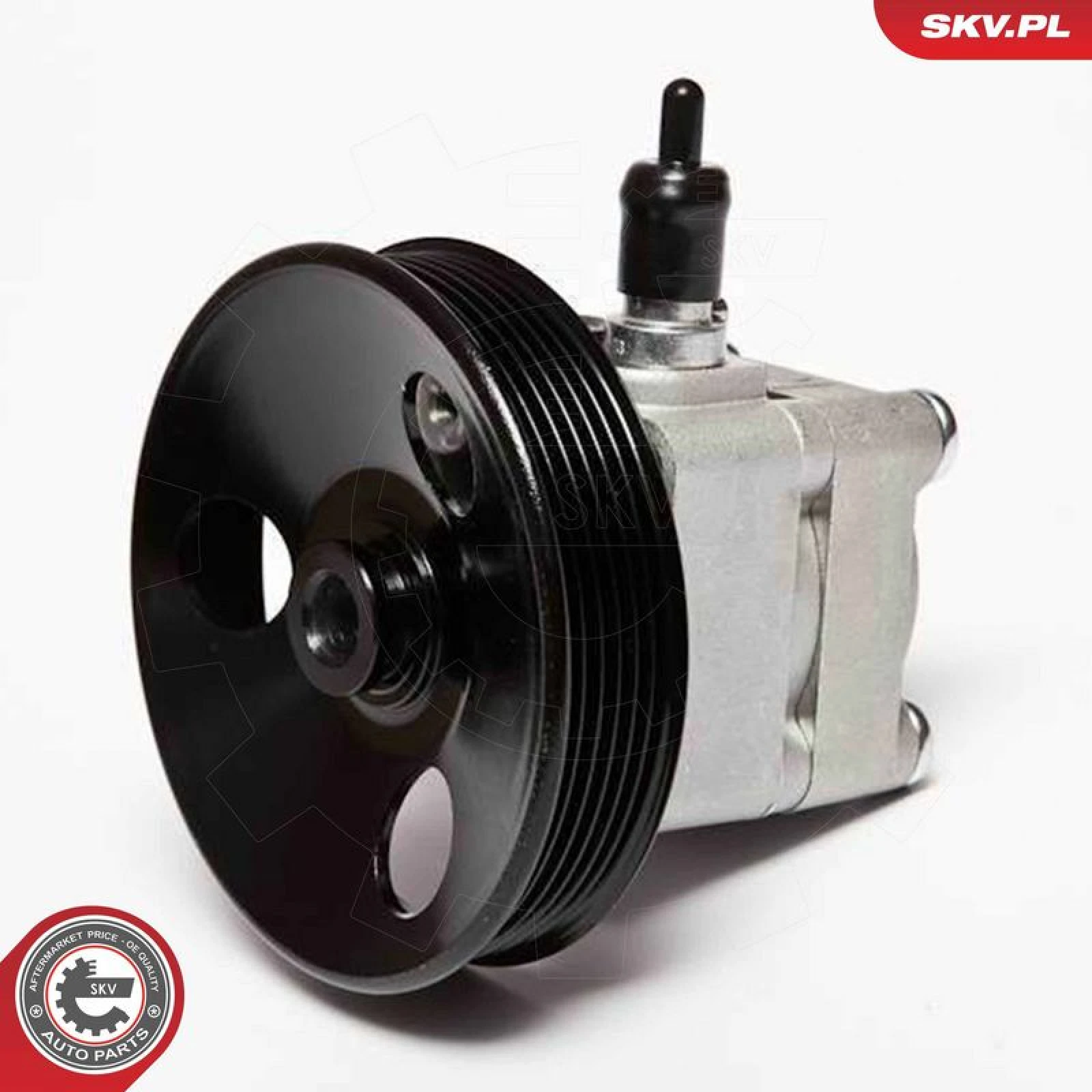 SKV GERMANY Hydraulikpumpe 10SKV010
