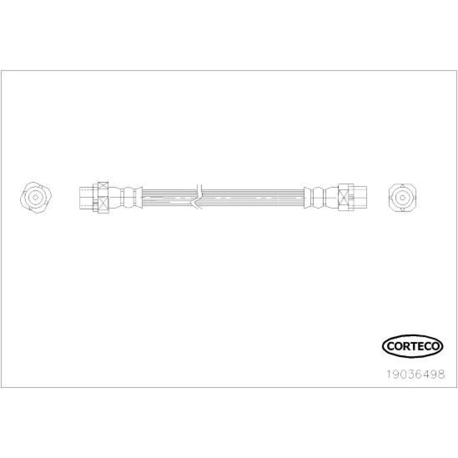 19036498 Corteco Bremsschlauch 19036498