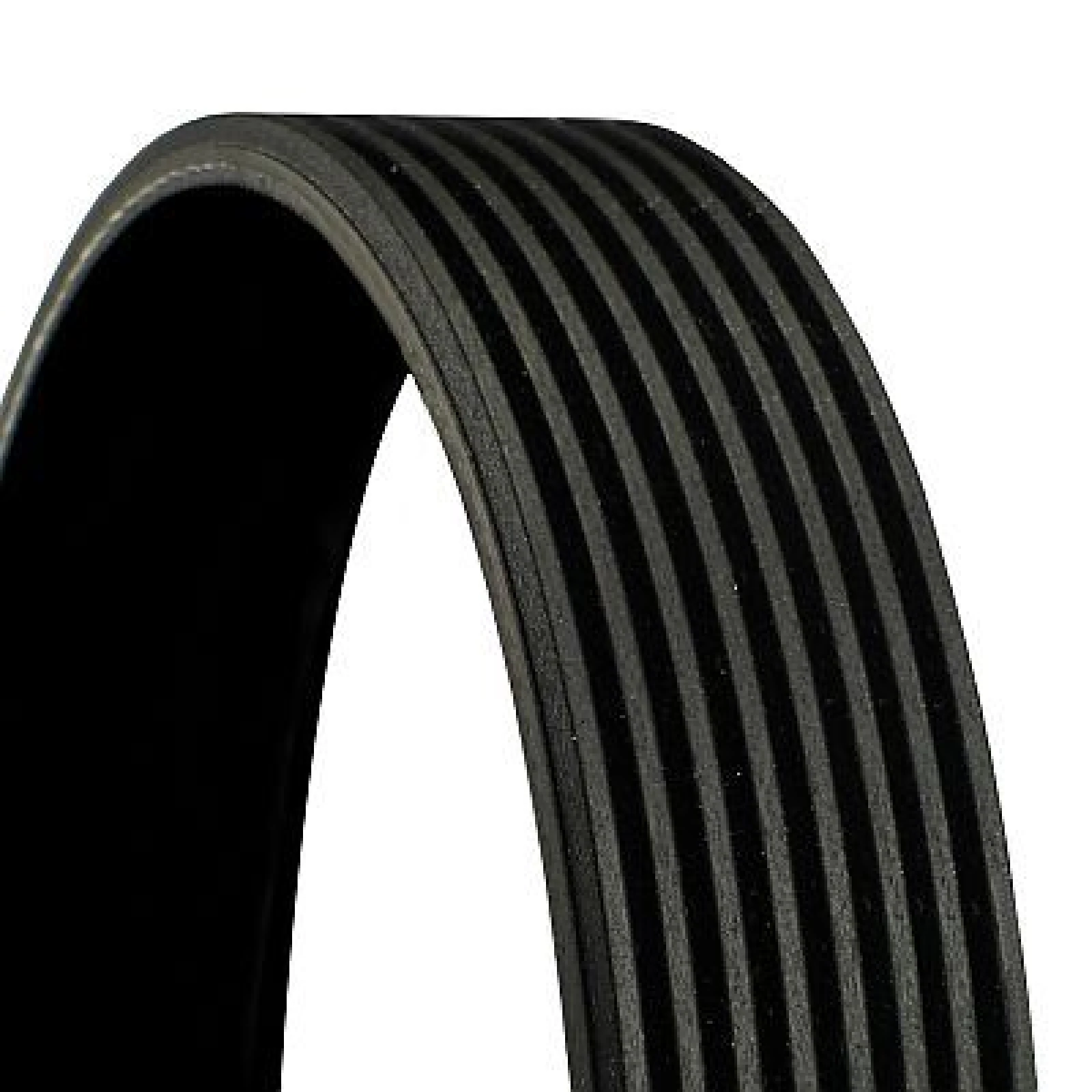 Continental CTAM Rillenriemen 8PK1395