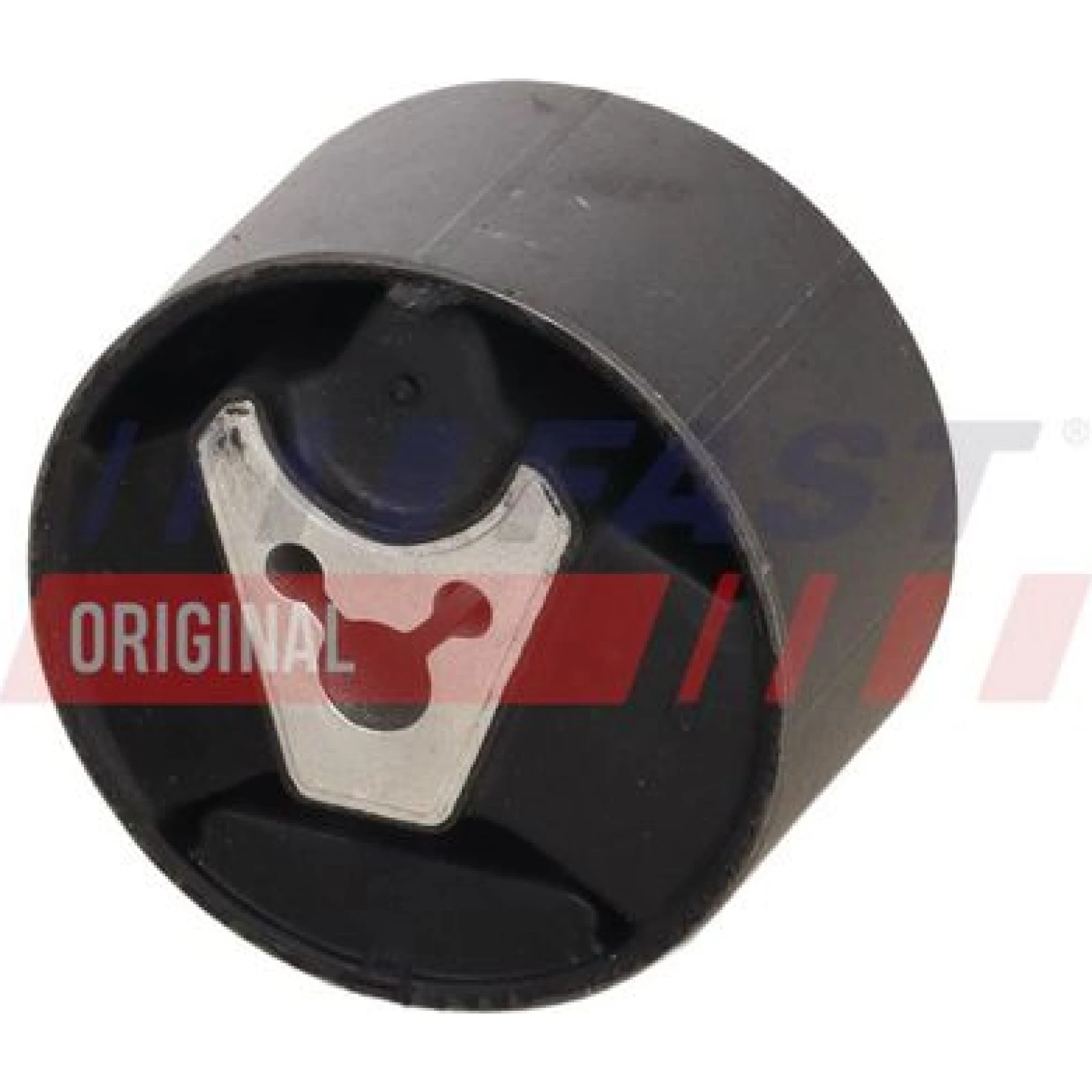 FAST Lagerung, Motor FT52514