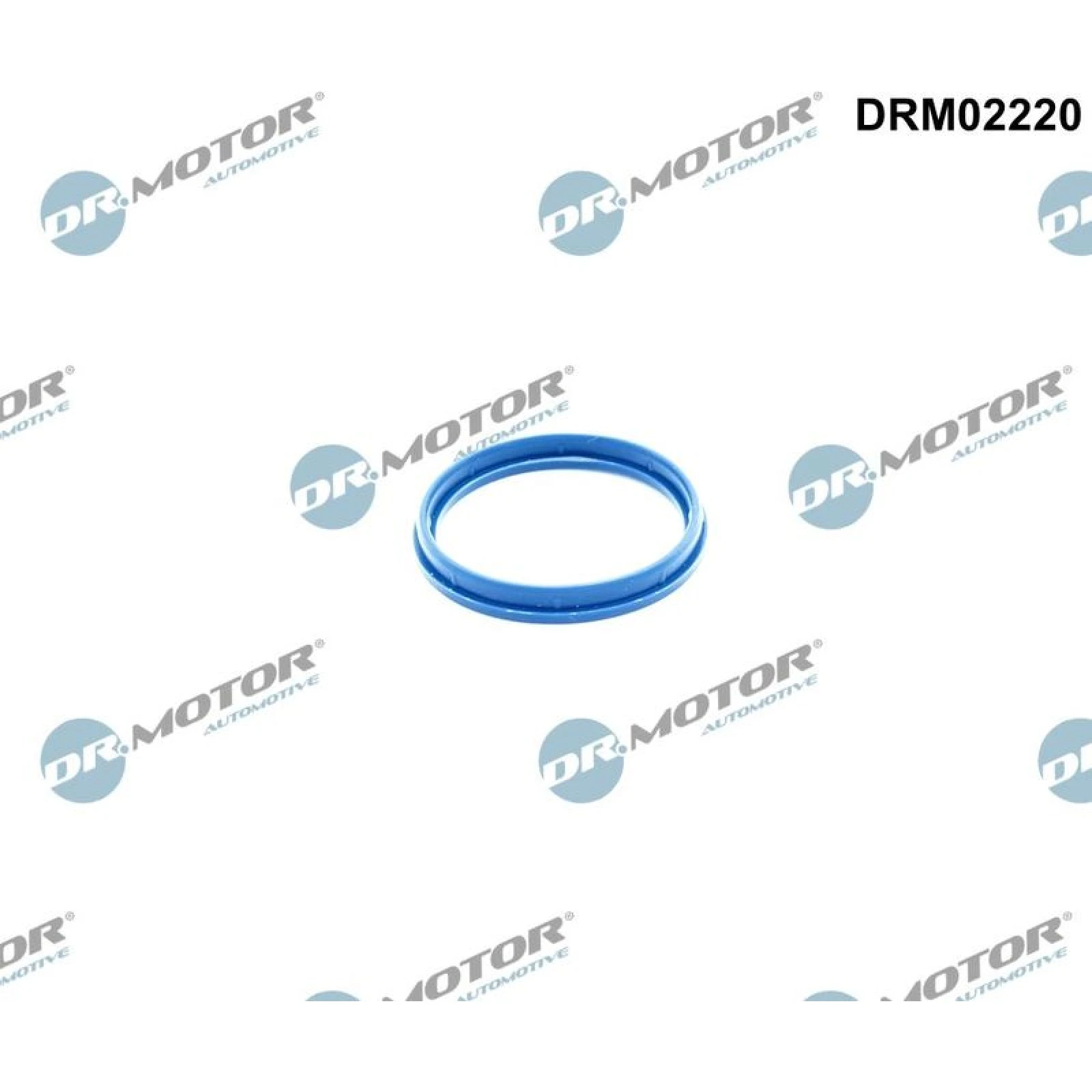 DICHTUNG, ANSAUGKRÜMMERGEHÄUSE DRM02220