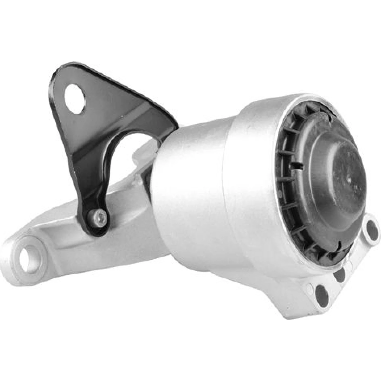 TEDGUM_TD Lagerung, Motor TED80961