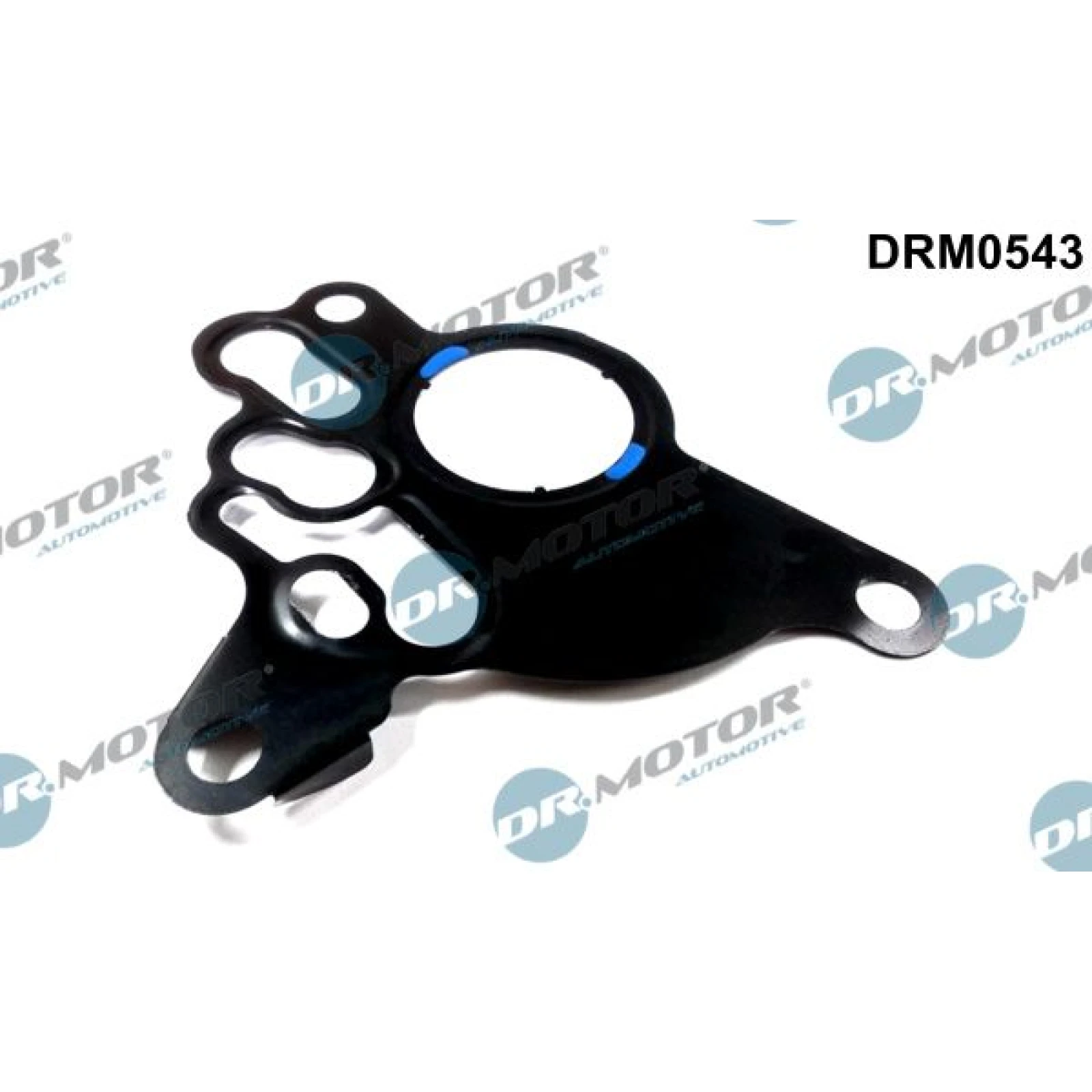 Dichtung, Unterdruckpumpe DRM0543