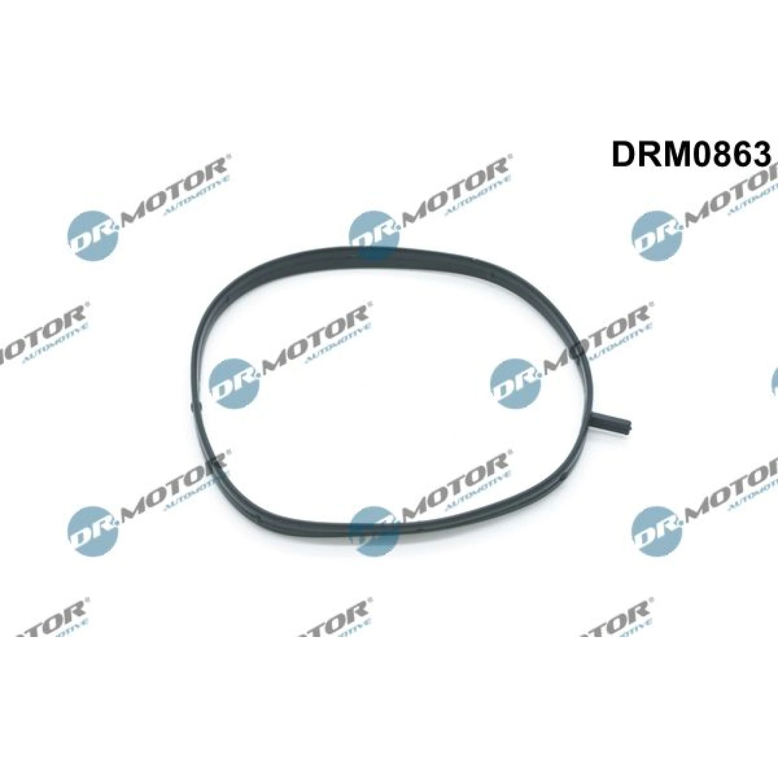 Dichtung, Ansaugkrümmer, Verwendung DRM0863