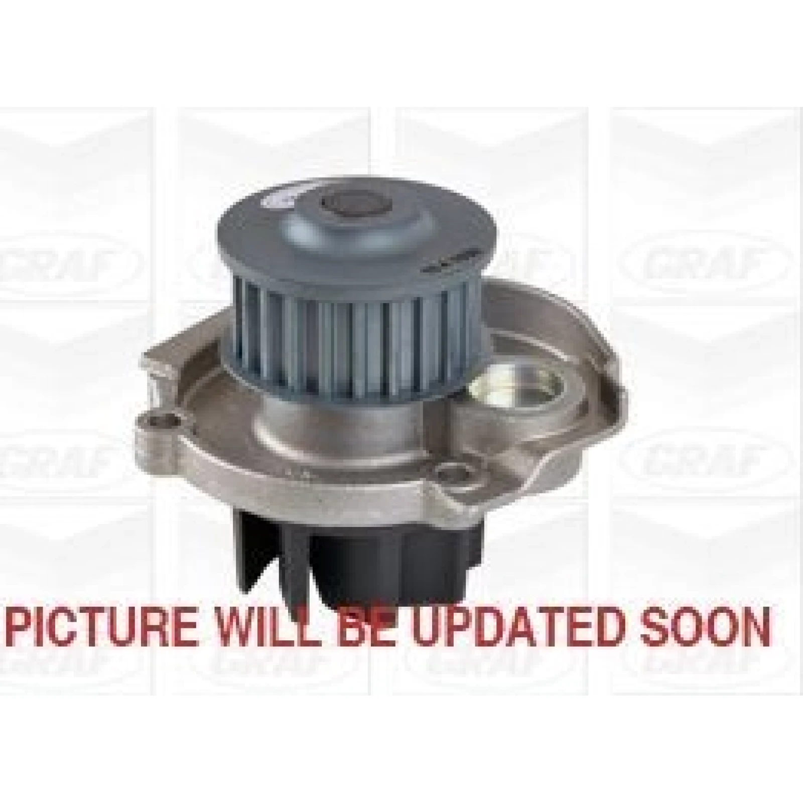 PA 1030 Wasserpumpe PA1030