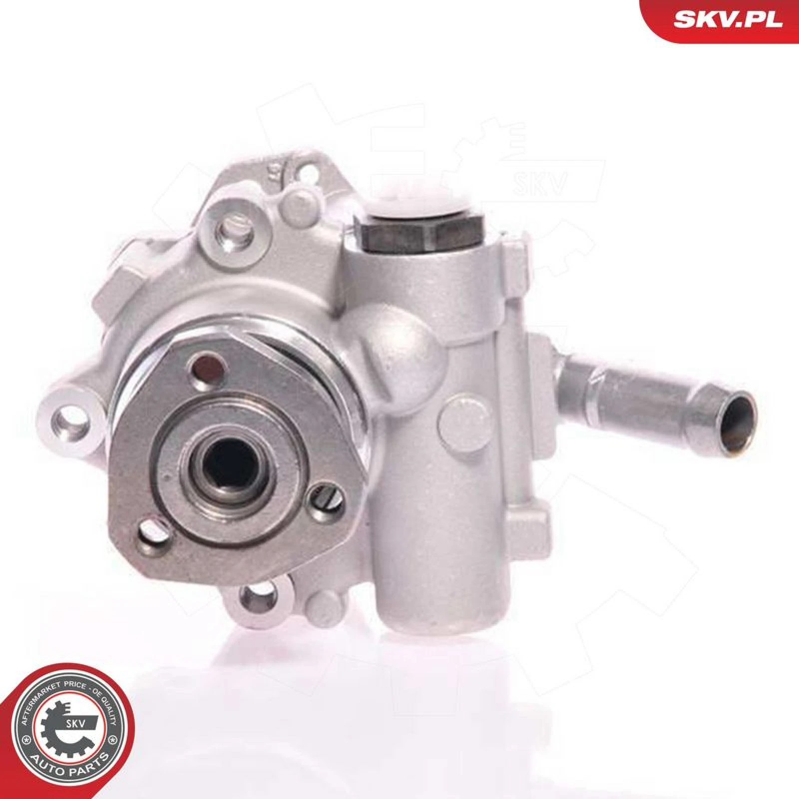 SKV GERMANY Hydraulikpumpe 10SKV165