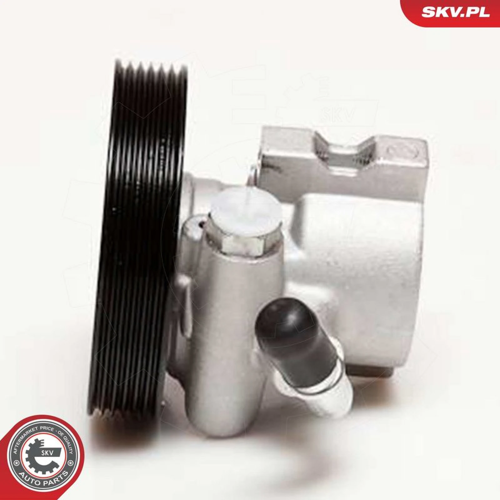 SKV GERMANY Hydraulikpumpe 10SKV031