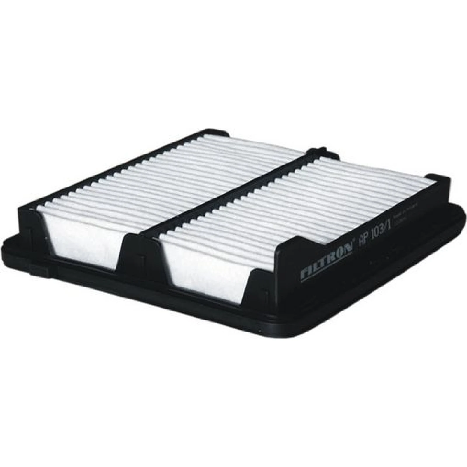 FILTRON Luftfilter AP 103/1