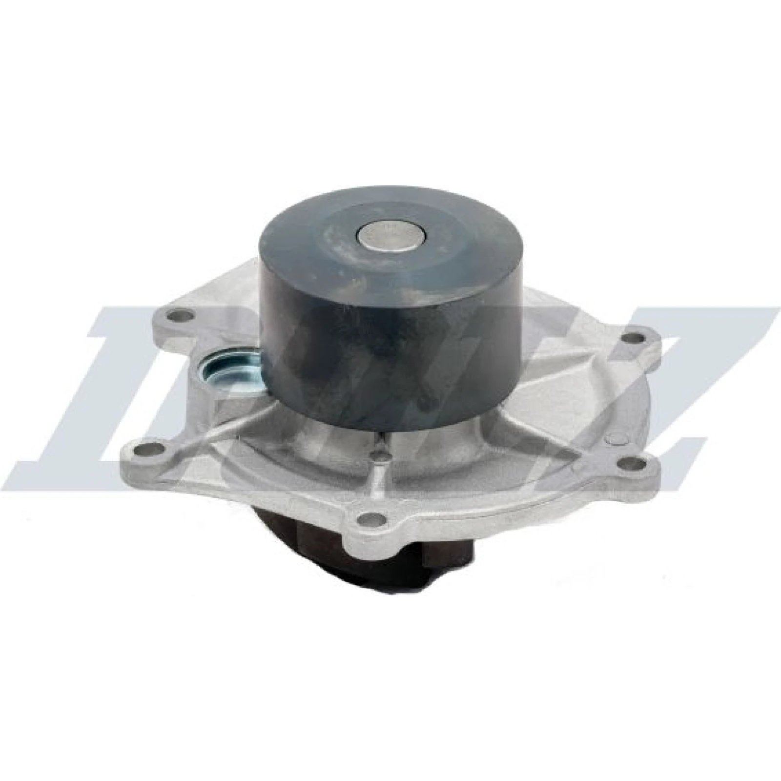 DOLZ Wasserpumpe / Kühlmittelpumpe M304