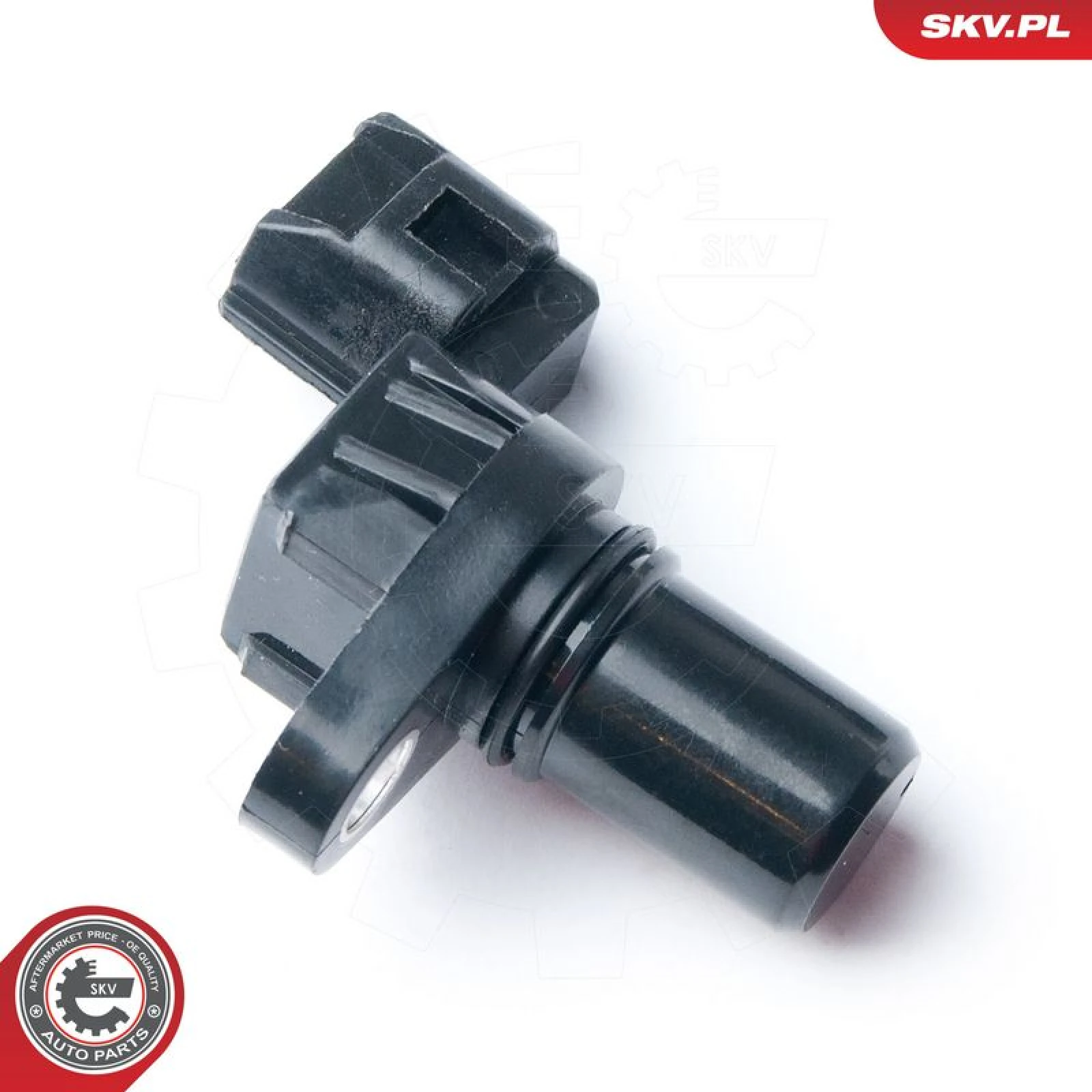 SKV GERMANY Positionssensor 17SKV256