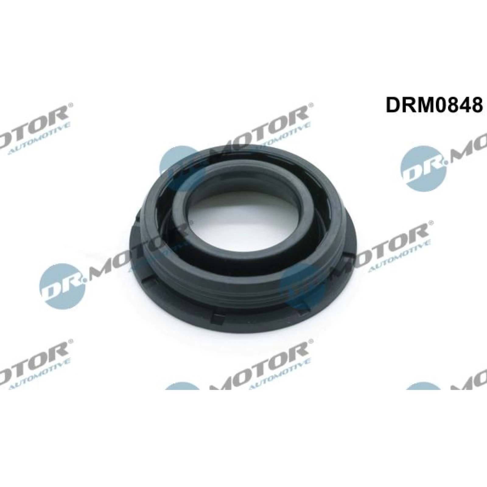 DR.MOTOR Dichtungssatz Einspritzdüse DRM0848