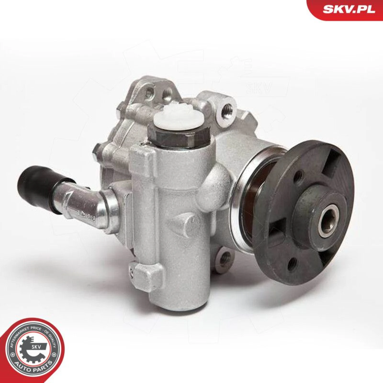 SKV GERMANY Hydraulikpumpe 10SKV123
