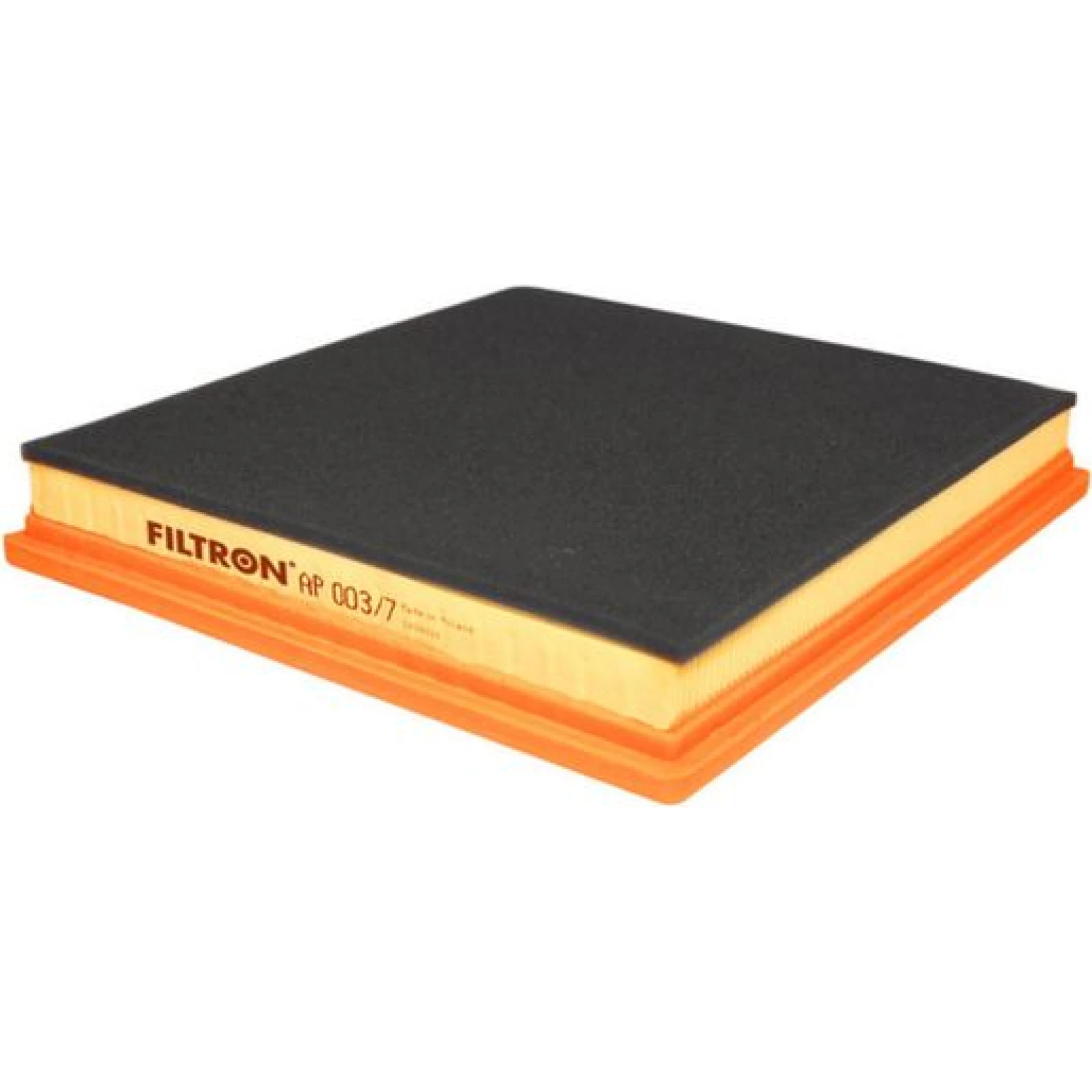 FILTRON Luftfilter AP 003/7