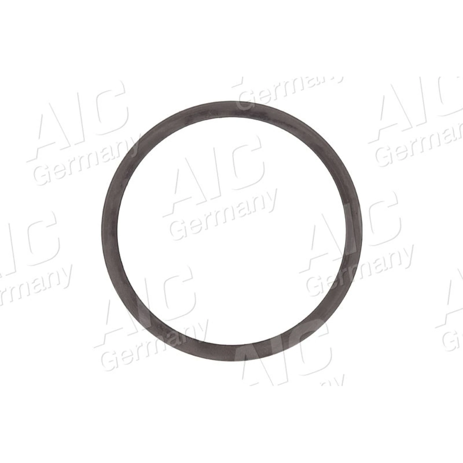 Sensorring ABS 55466