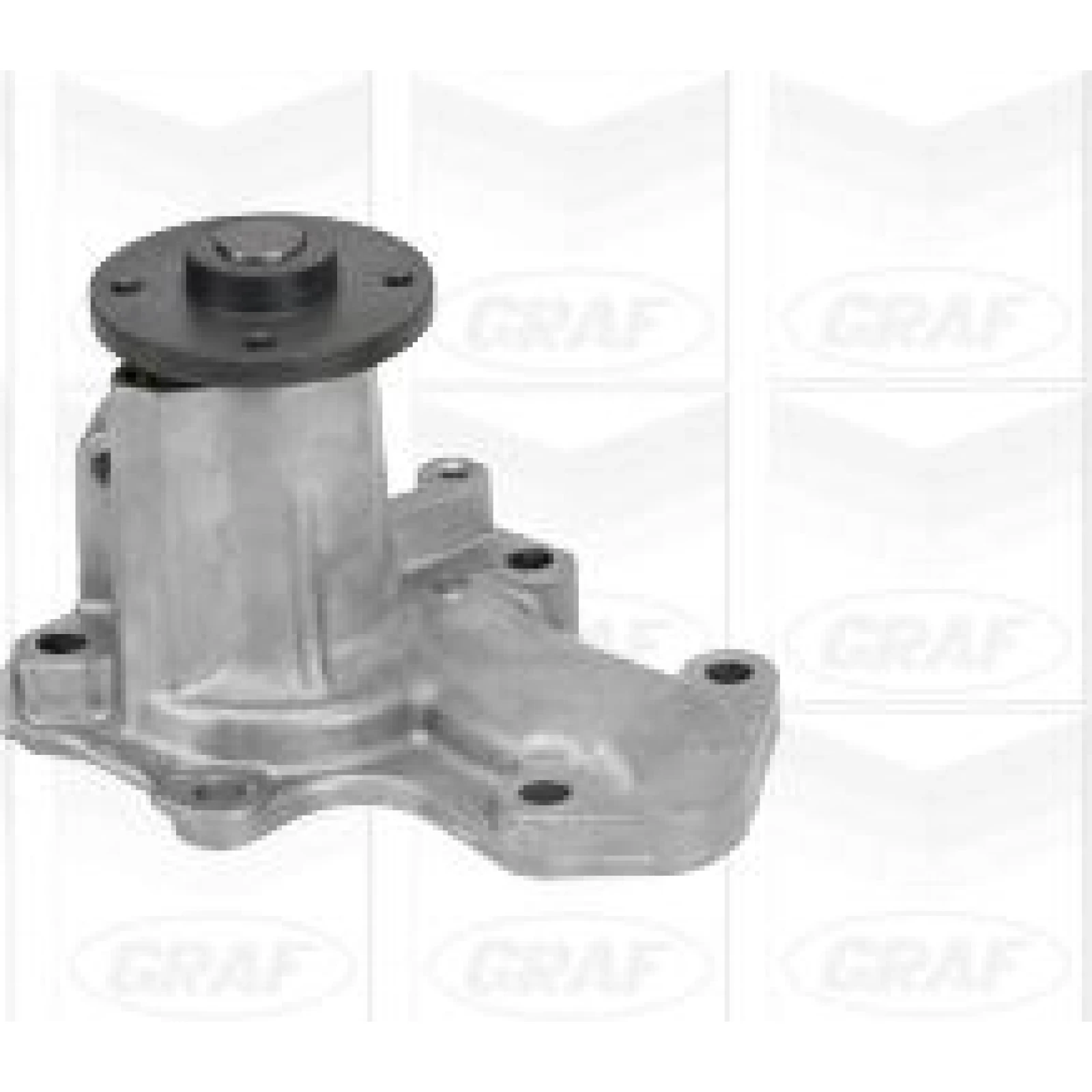 PA 1000 Wasserpumpe PA1000