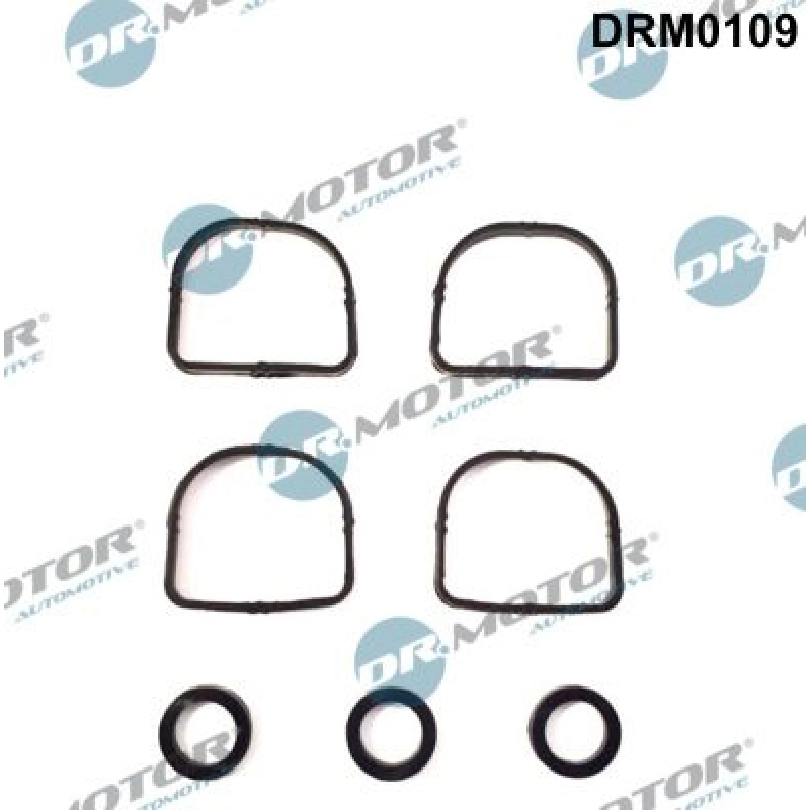 DR.MOTOR Dichtungssatz, Ansaugkrümmer DRM0109