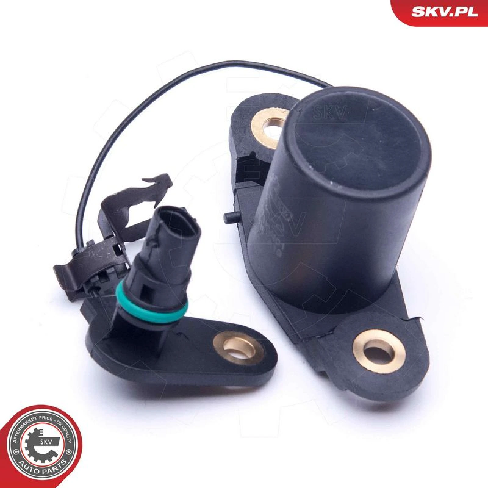 SKV GERMANY Sensor 17SKV401