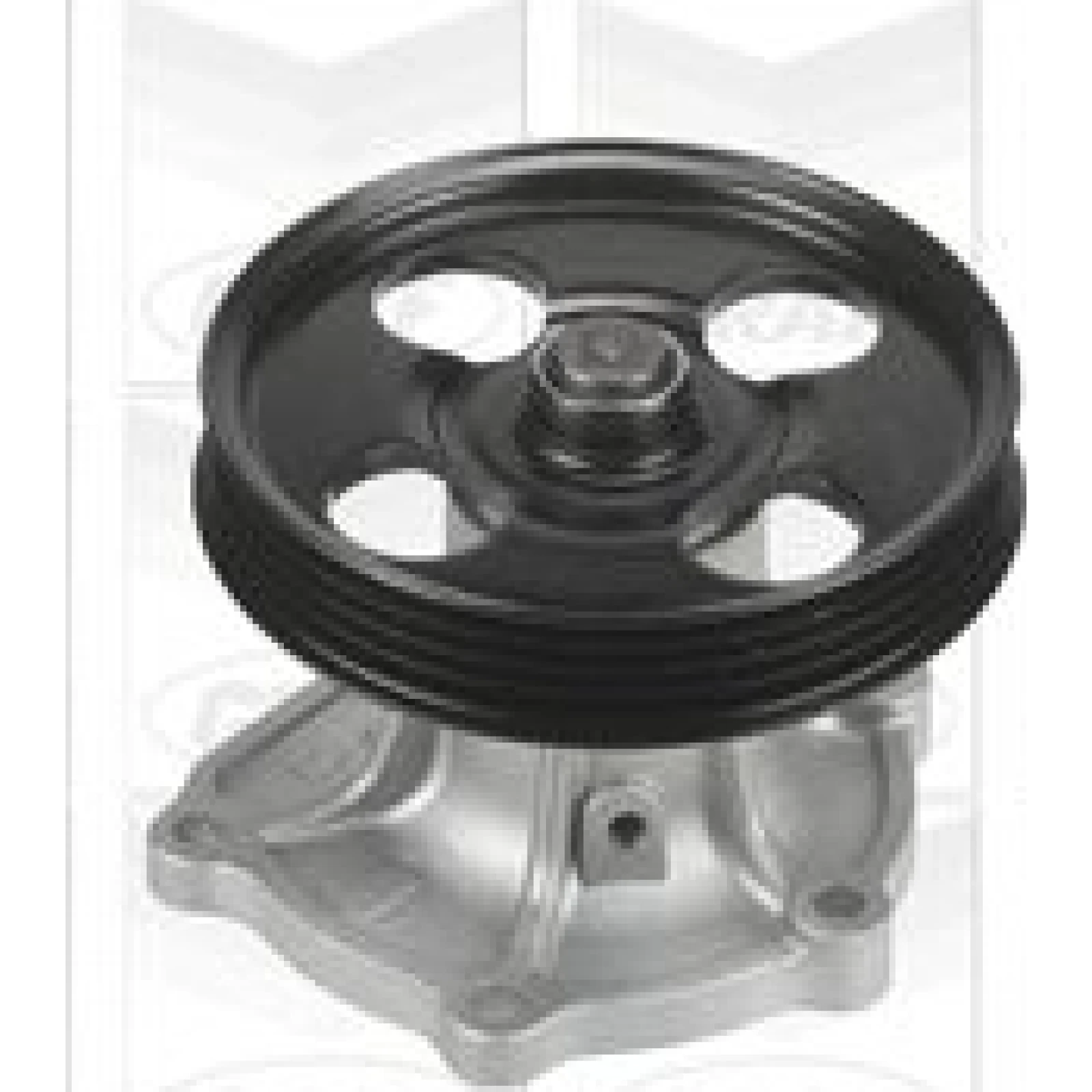 Wasserpumpe PA718