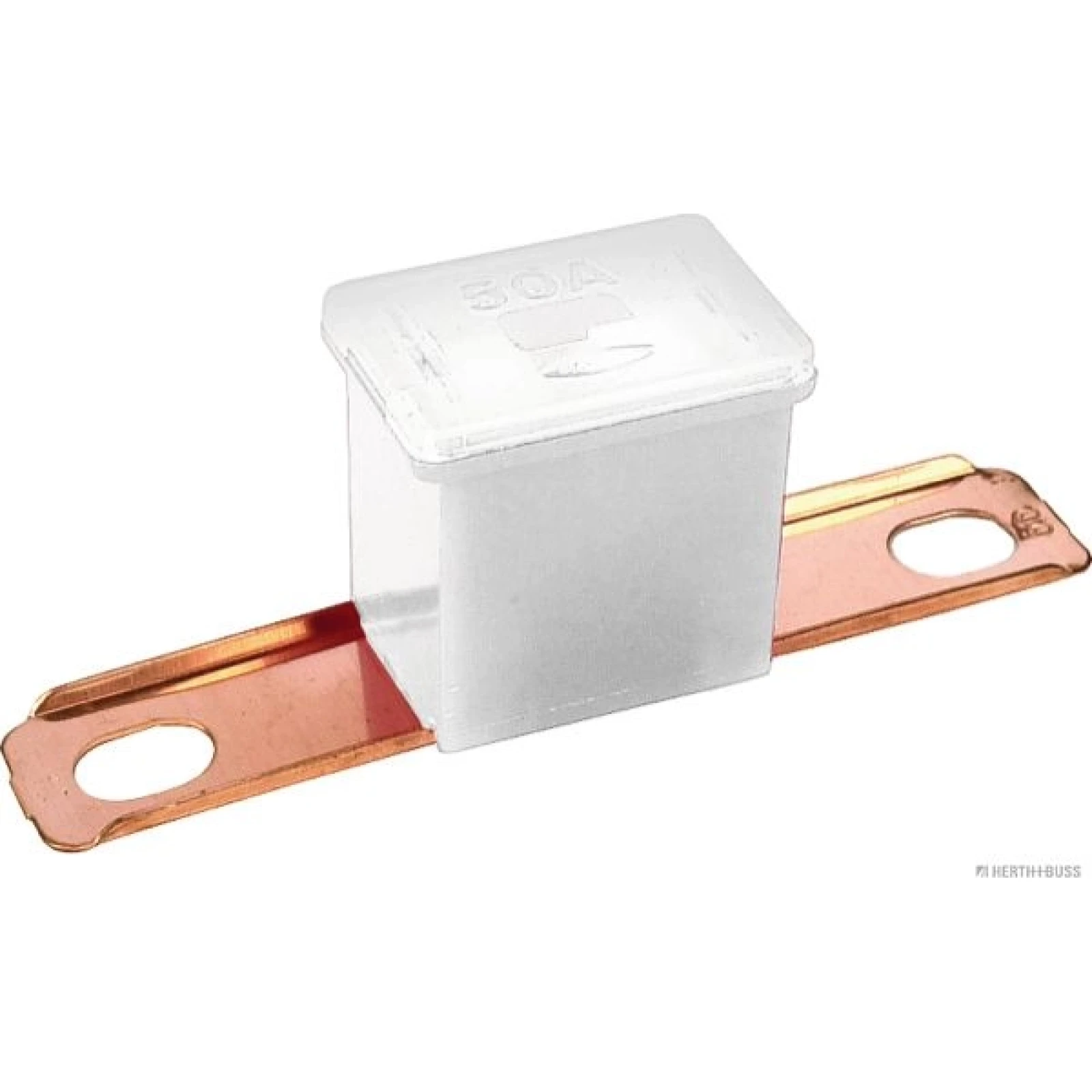 Blocksicherung 49mm 120A 1Stk 50295460