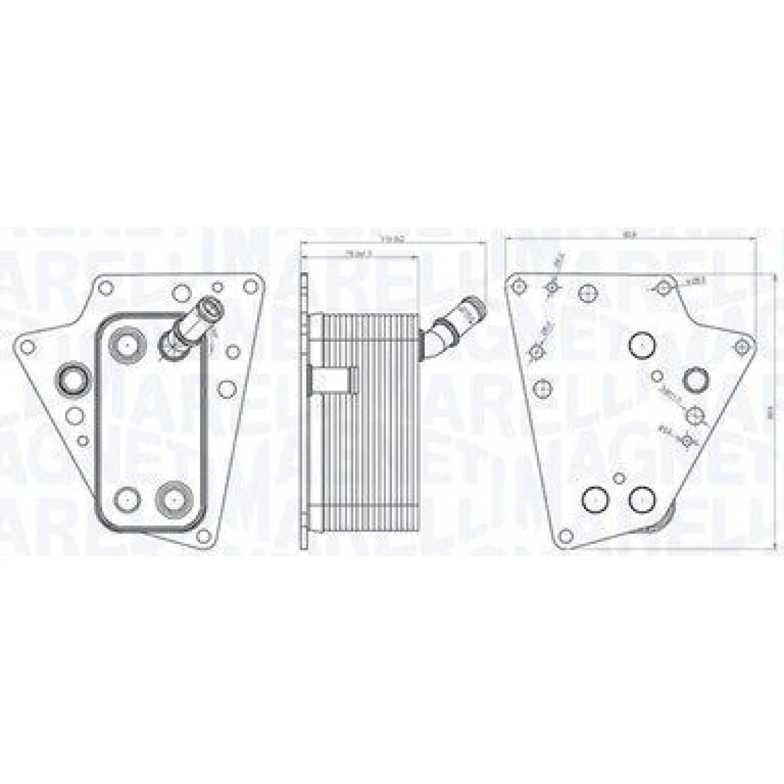 Magneti Marelli Ölkühler RO0015 - Motoröl